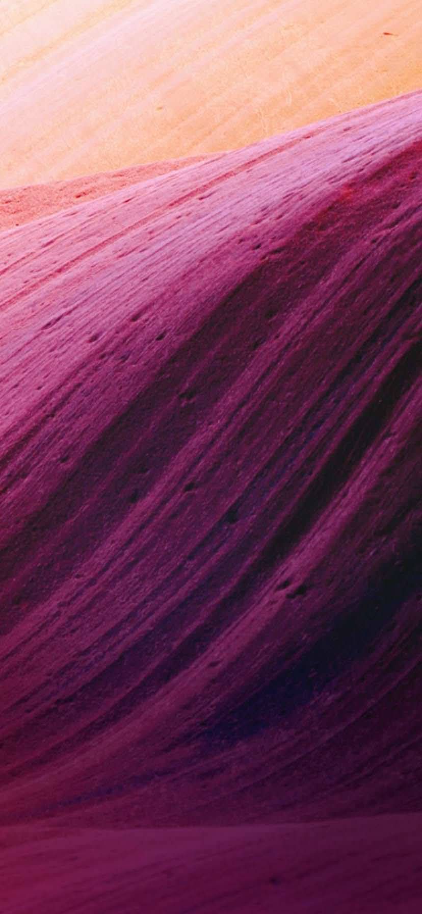 iPhone XR Curbe Beige și Purpuriu Fundal
