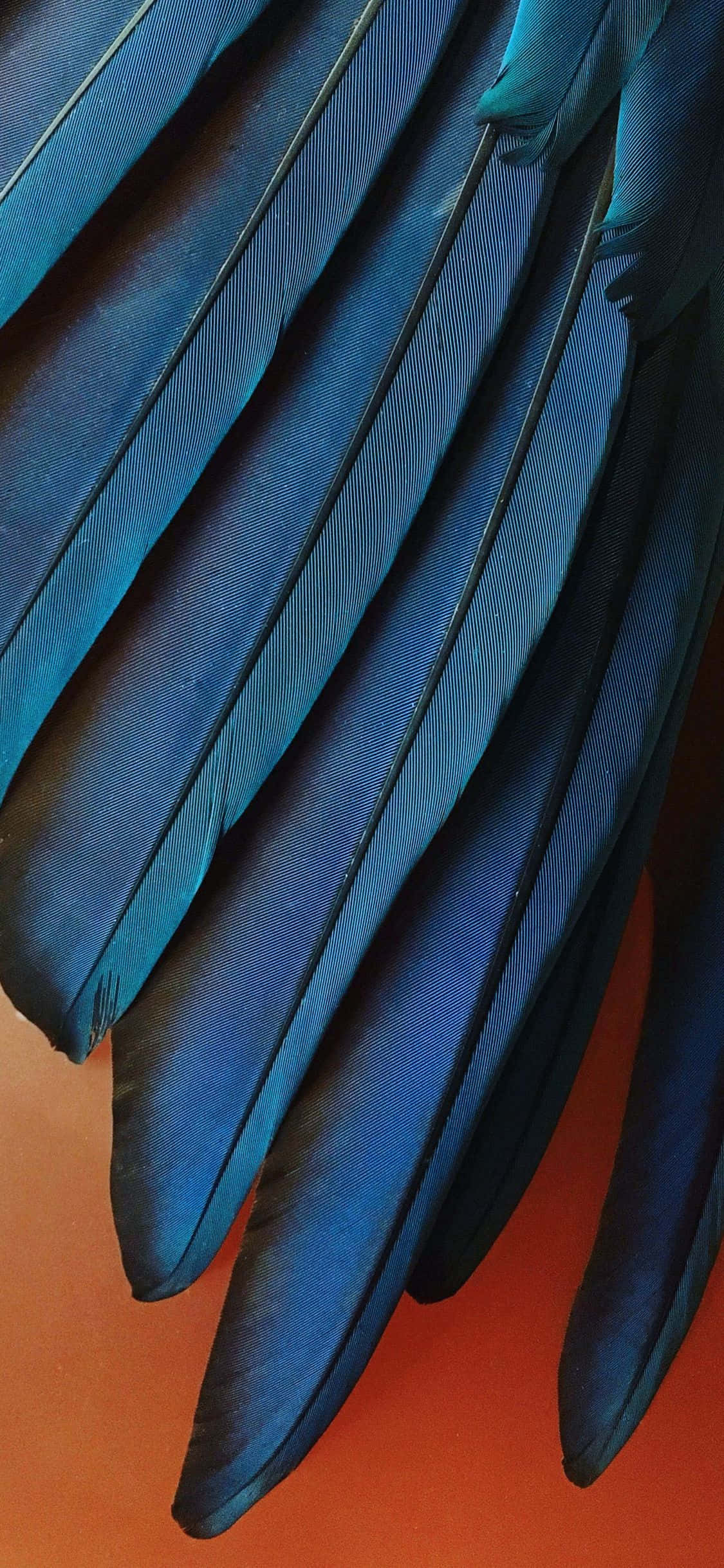 iPhone Xr Stock Pene Albastre Teal Fundal