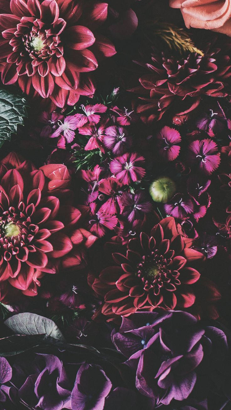 iPhone Xs Flori Fundal