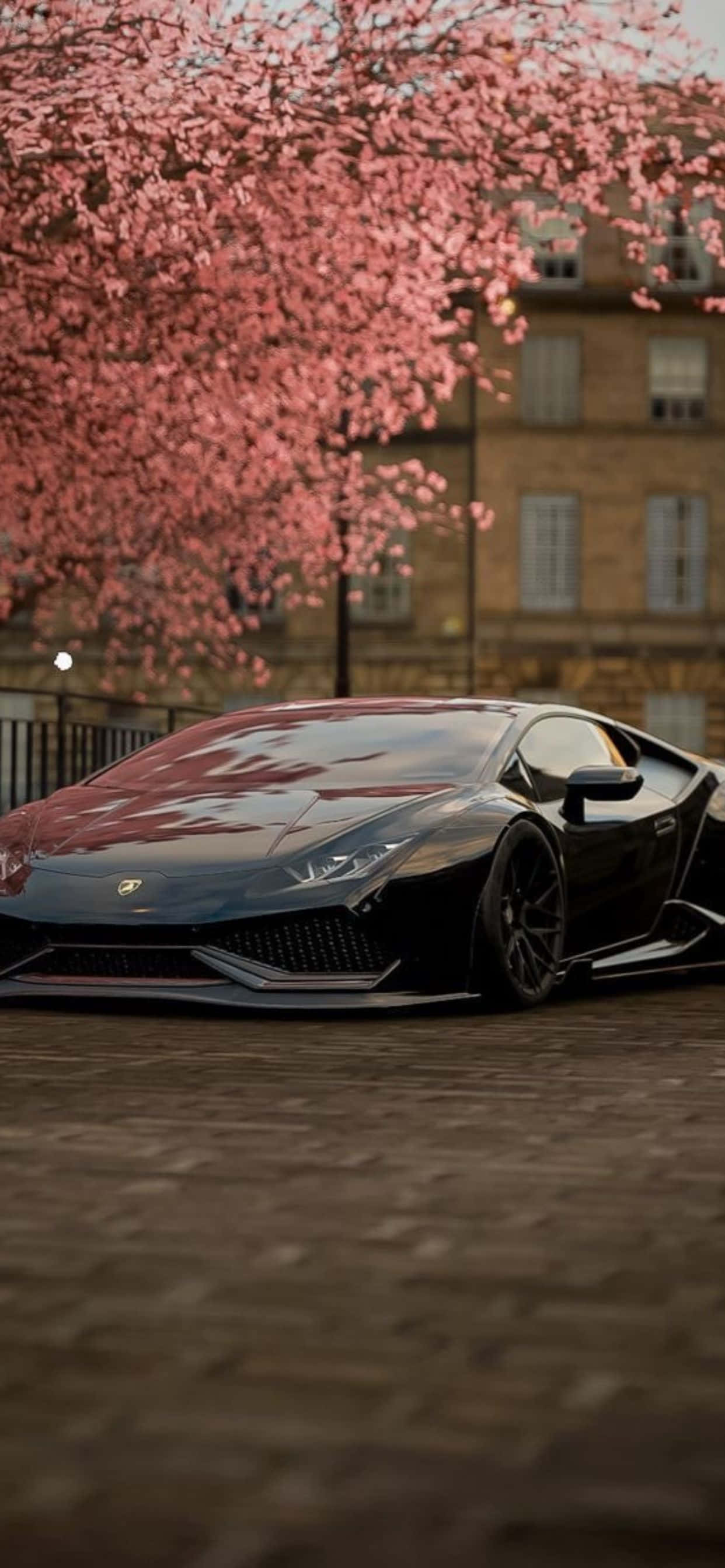 Fond iPhone XS Max Lamborghini Cherry Blossom Fundal