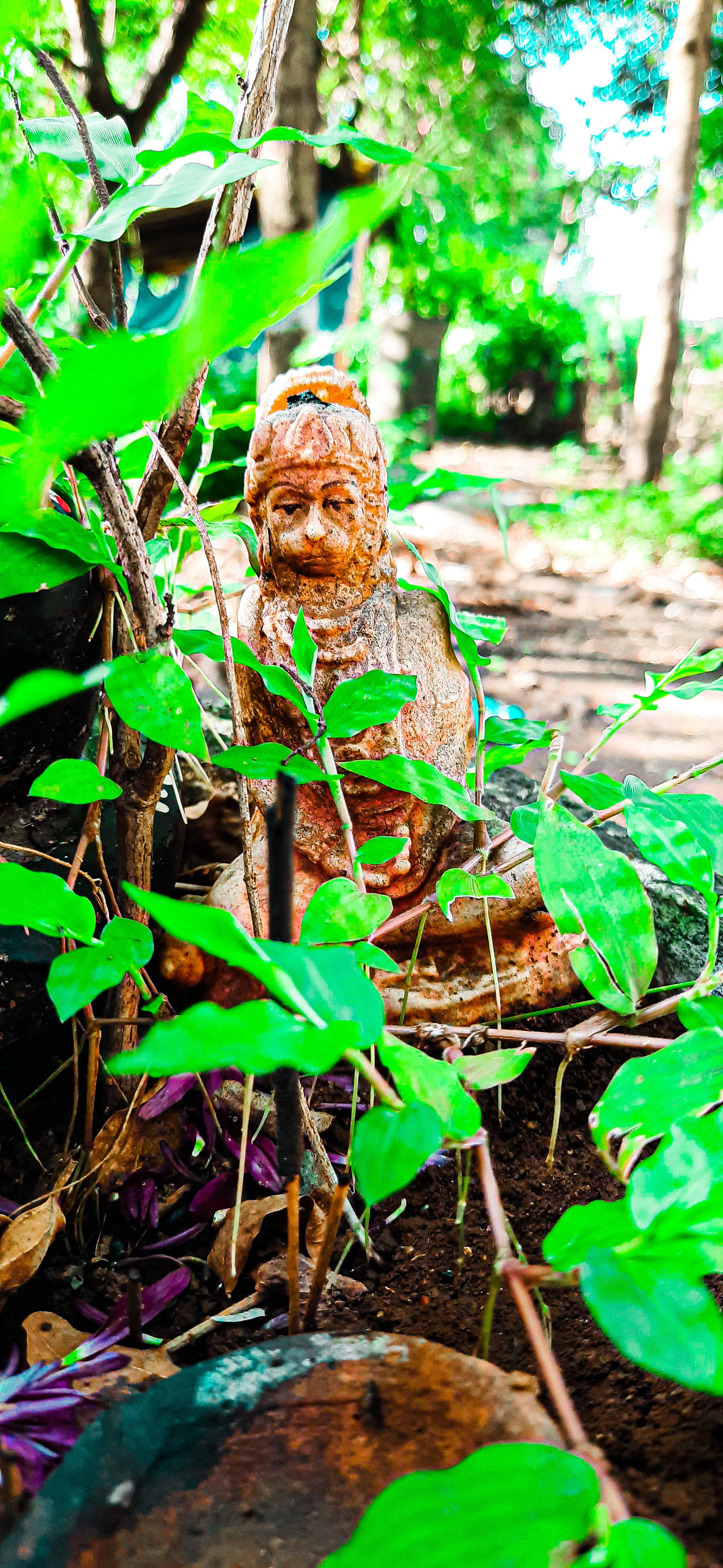 Jai Shree Ram Statuie în Pădure HD Fundal