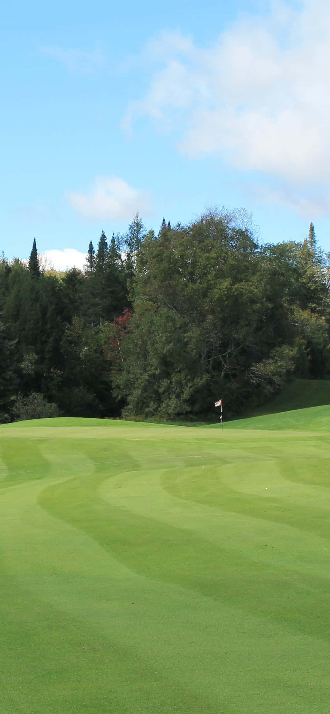Golf pe un Teren de Golf Senin cu iPhone X Fundal