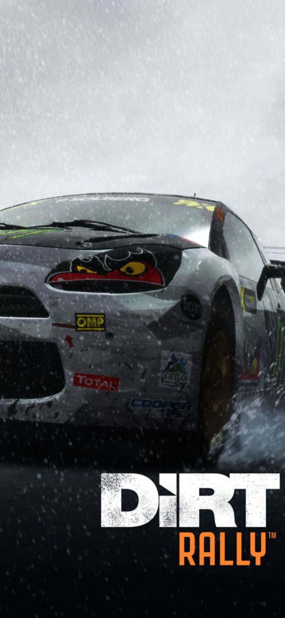joc pc dirt rally Fundal