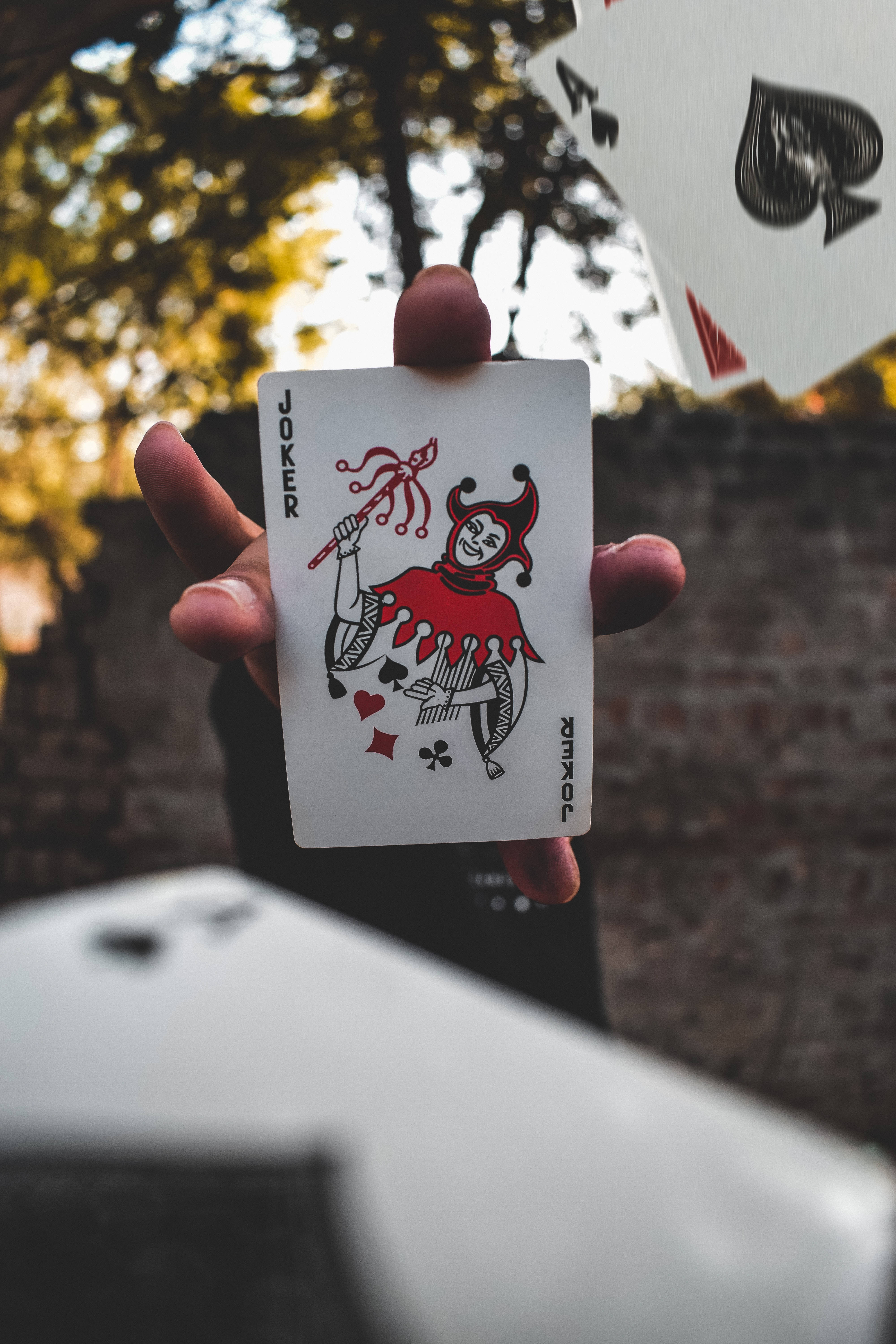 Jokerul - Cartea Sălbatică Supremă Fundal