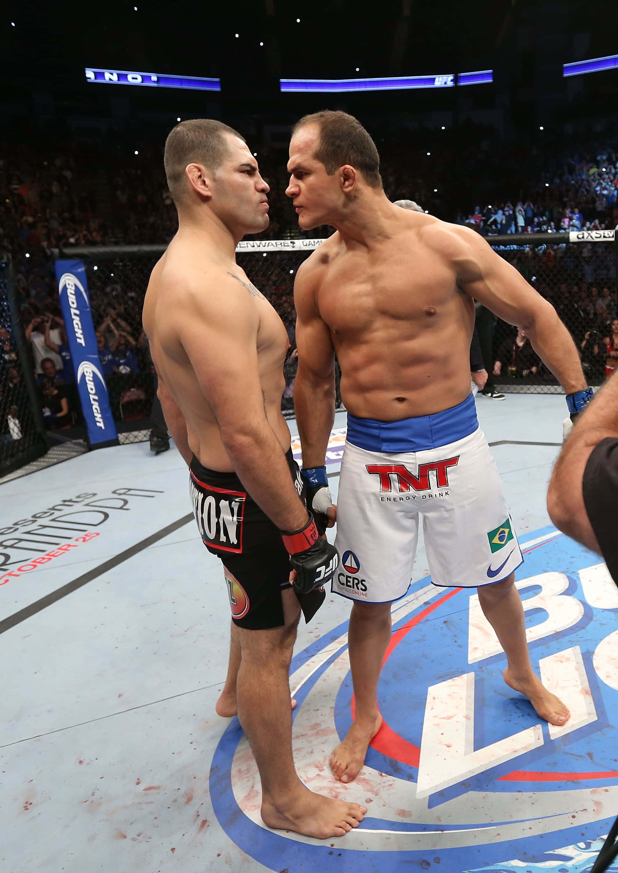 Junior Dos Santos UFC On Fox 1 Fundal