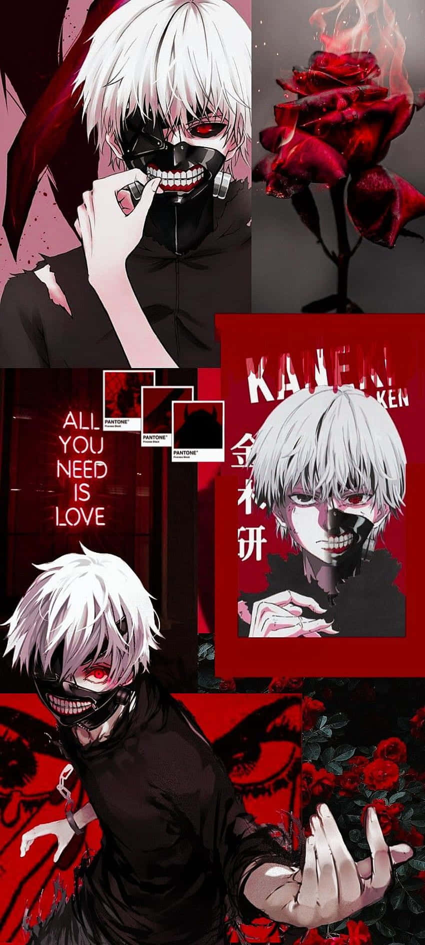 Kaneki Ken luptă pentru dreptate în Tokyo Ghoul Fundal