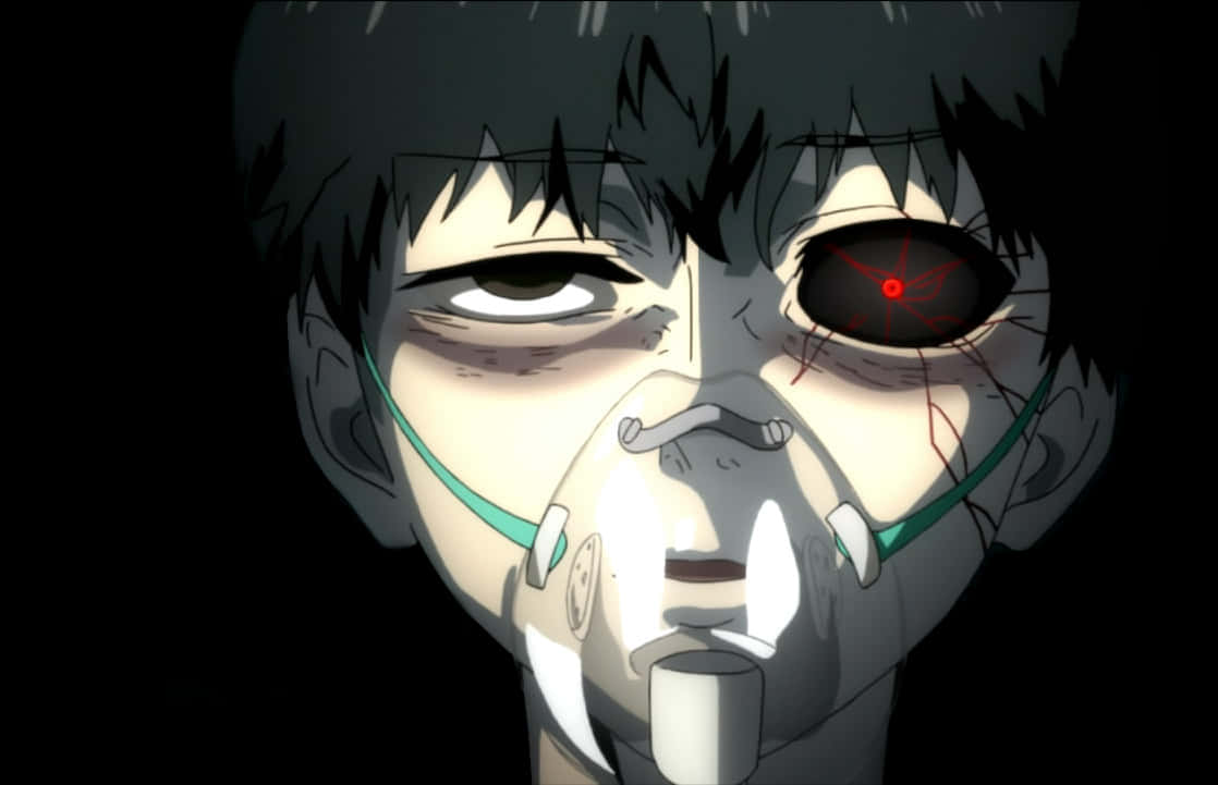 Kaneki Ken Transformare Tokyo Ghoul Fundal