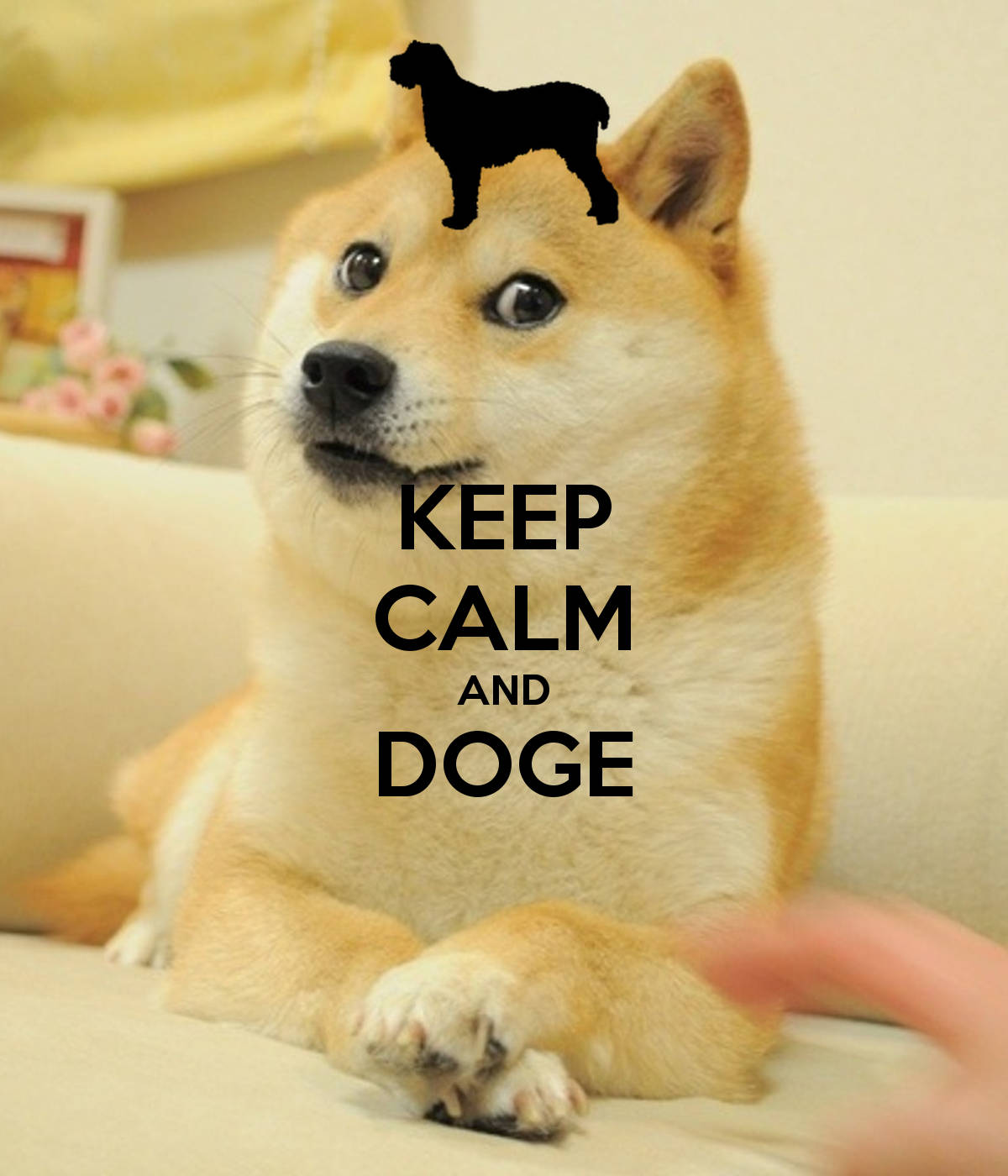 Keep Calm and Doge On! Fundal