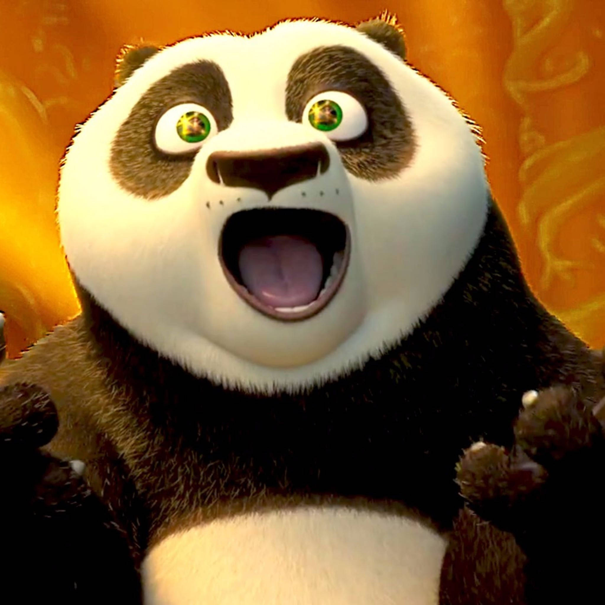 Kung Fu Panda Fericit și Emoționat Fundal