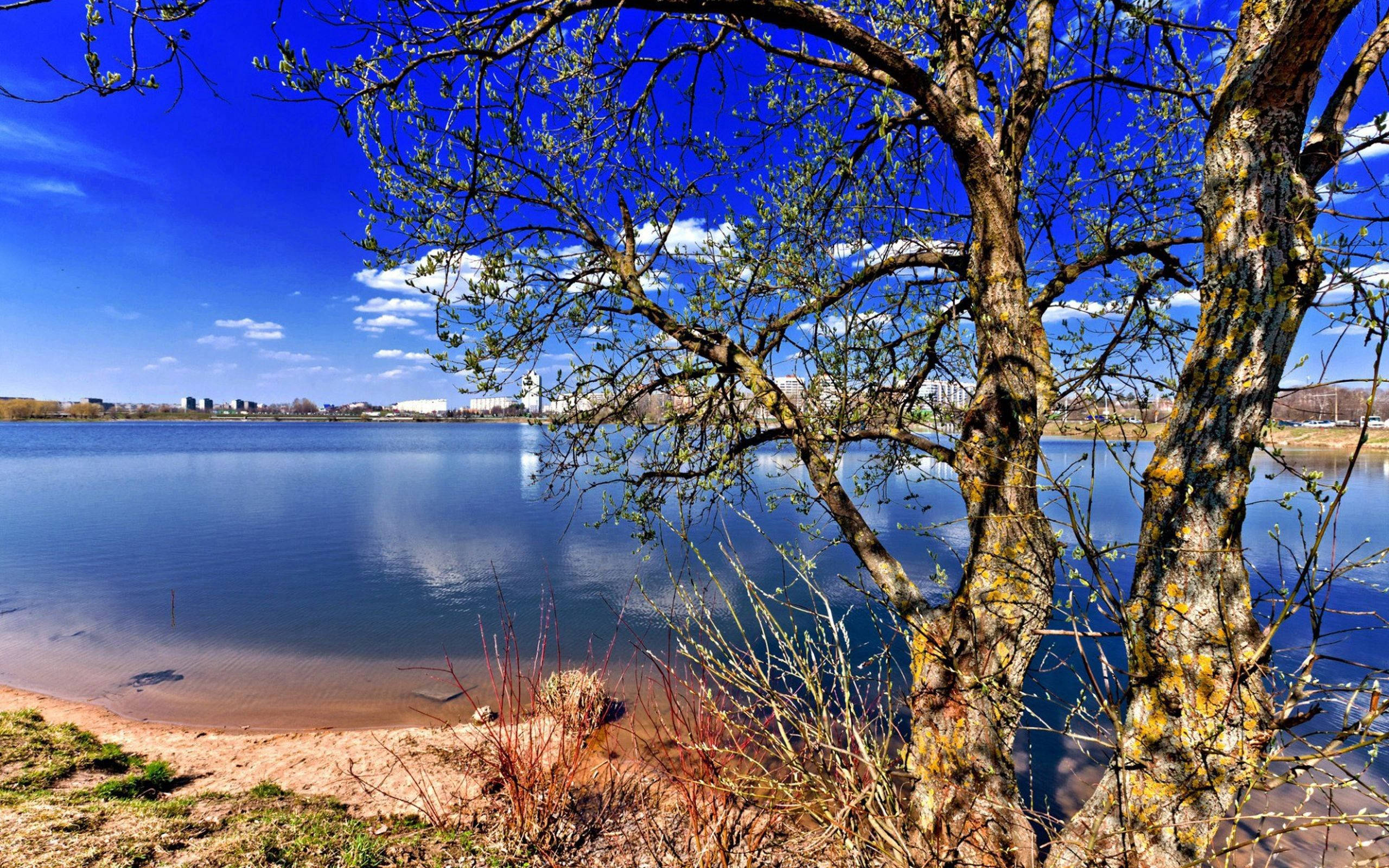 Lac Atractiv în Natură Fundal