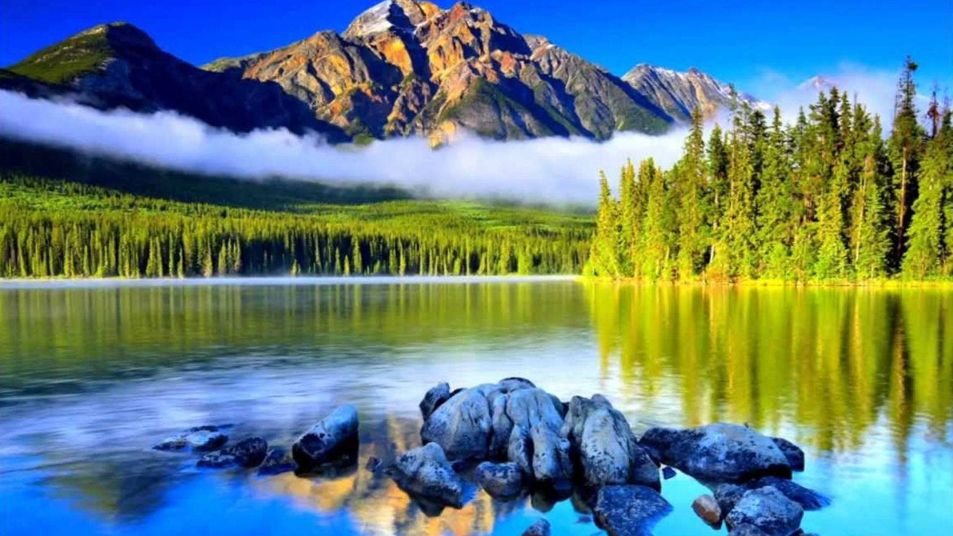 Lac cu vedere spre pădure Fundal
