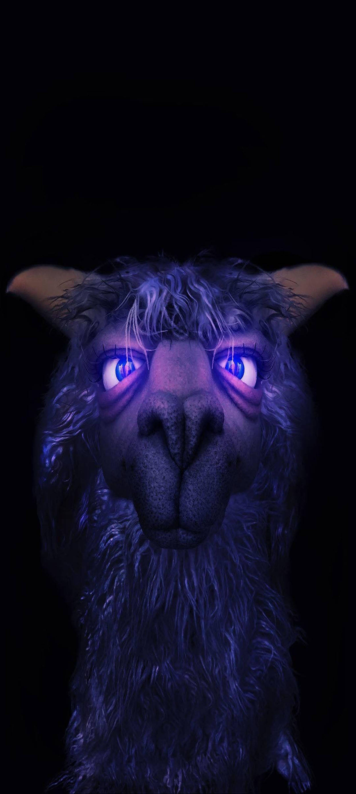 Lama Violetă Estetică pentru Băieți Fundal