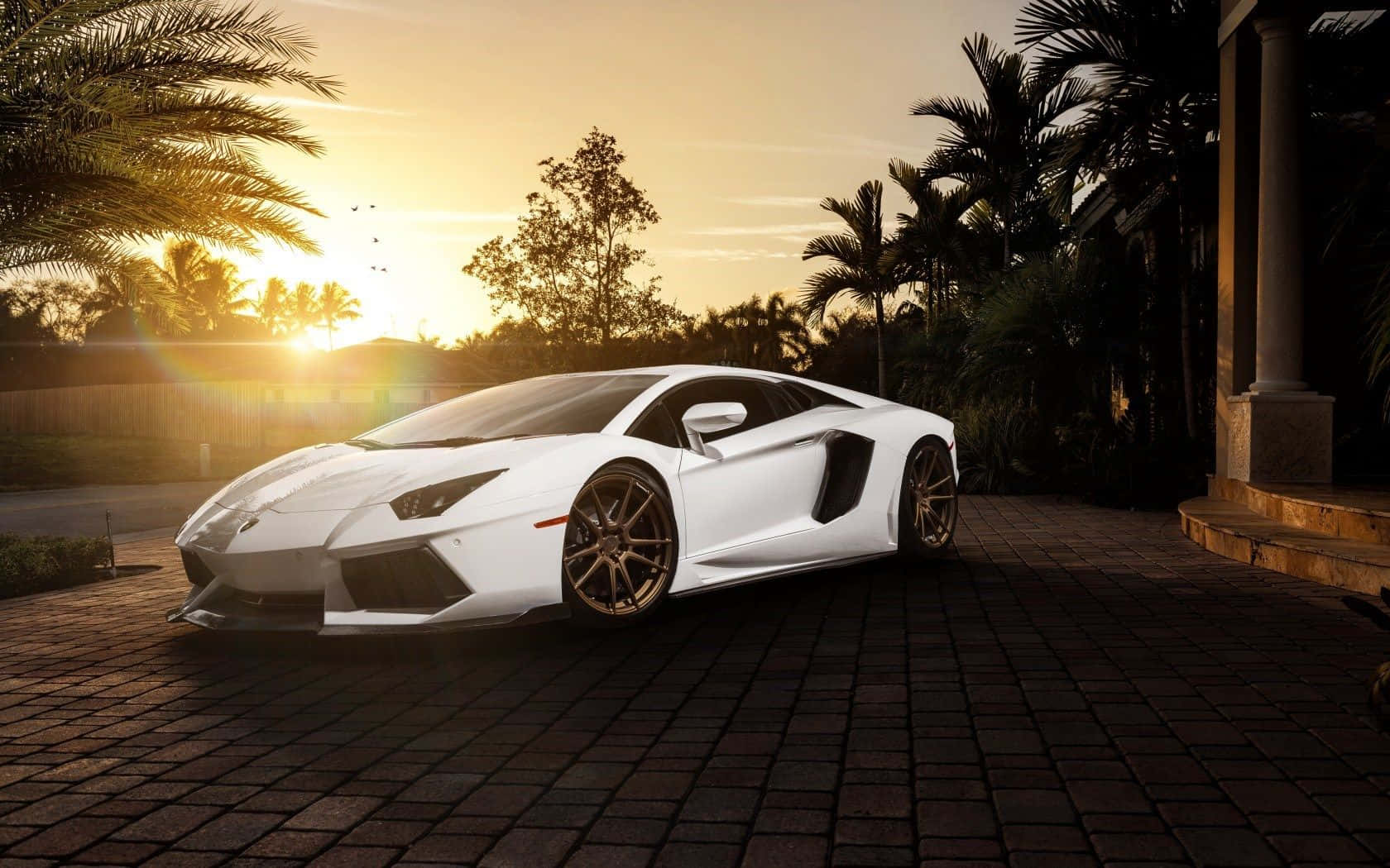 Lamborghini Aventador alb cool la apus Fundal