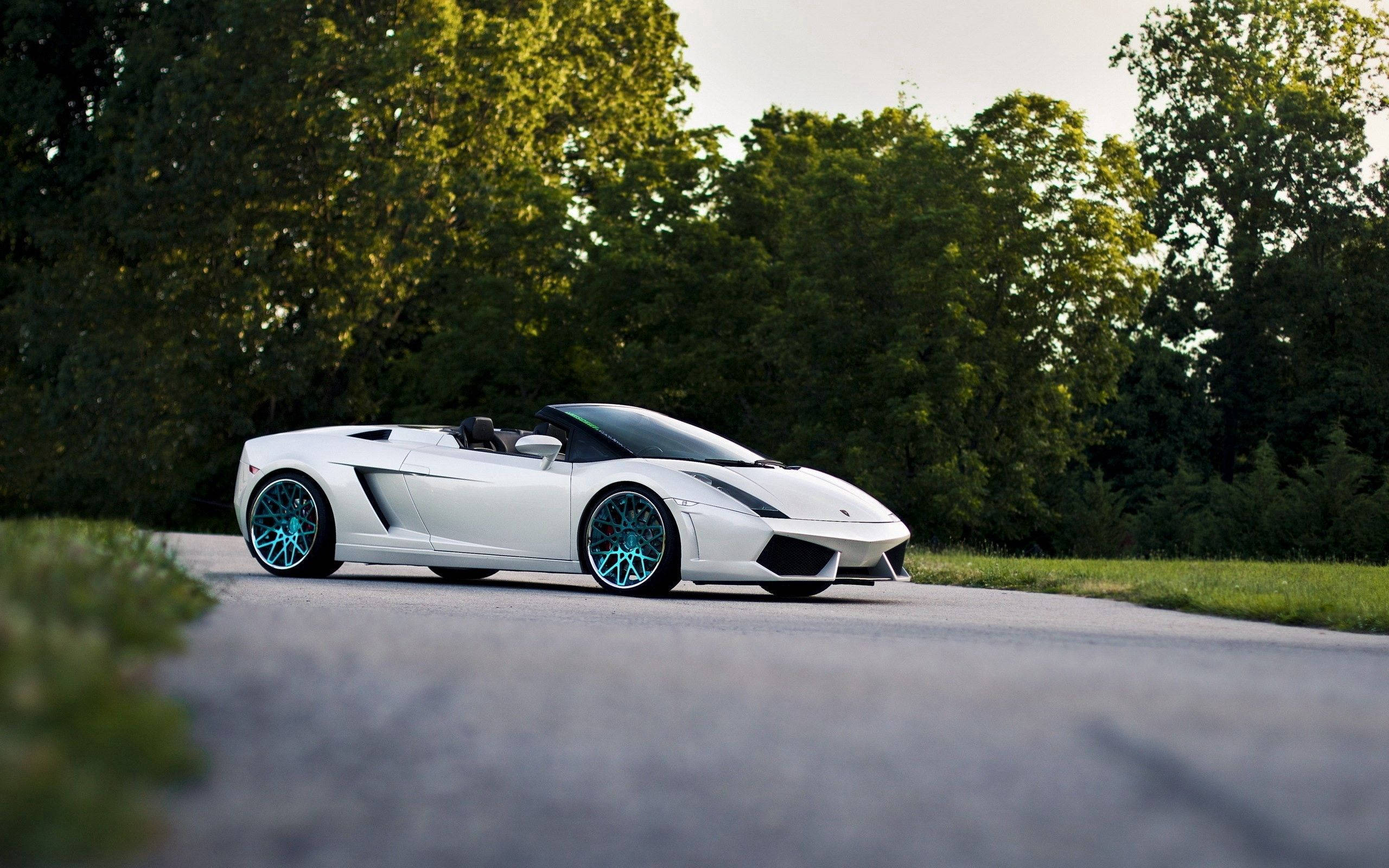 Lamborghini Gallardo Spyder albă cu capota deschisă Fundal