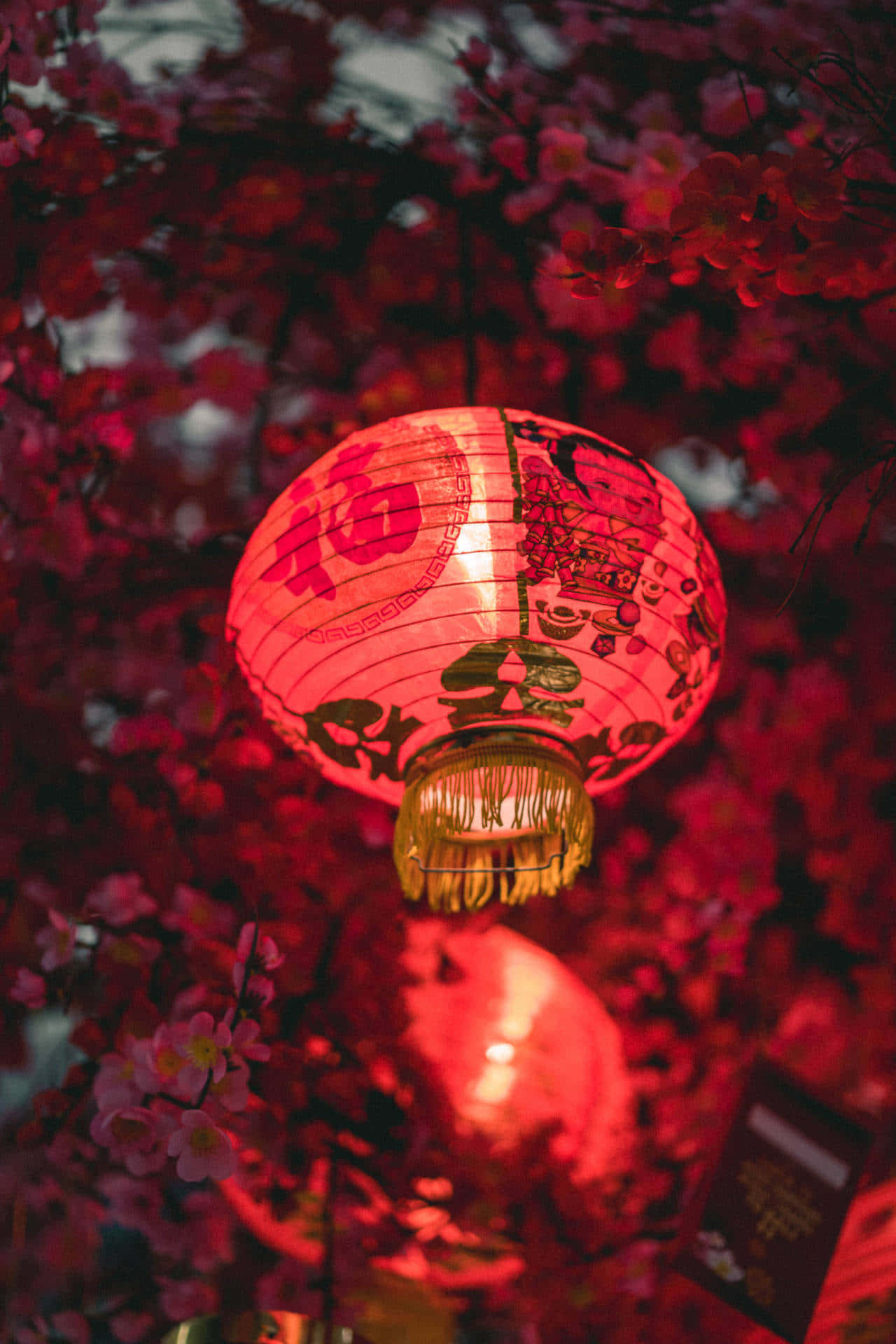 Lanterne Vibrante Iluminând Strada Antică a Chinei Fundal