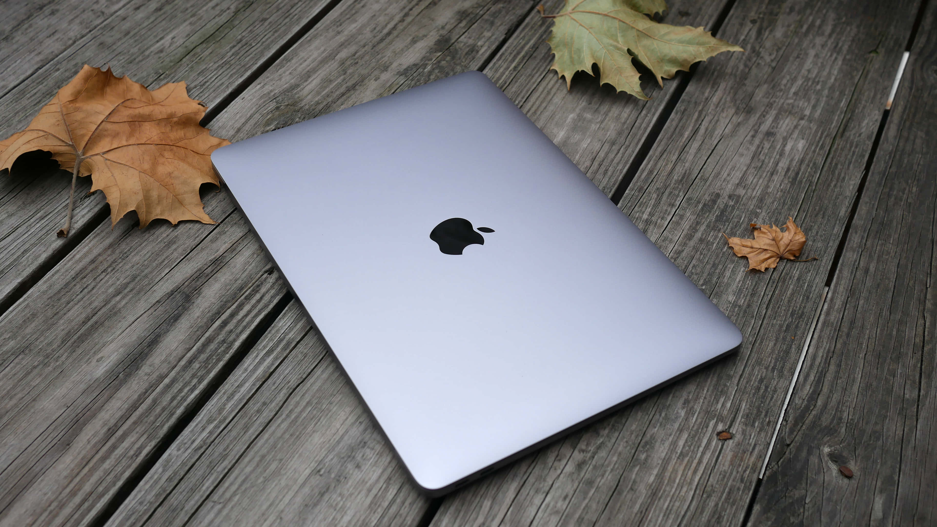 Laptop Apple MacBook de culoare albă Fundal