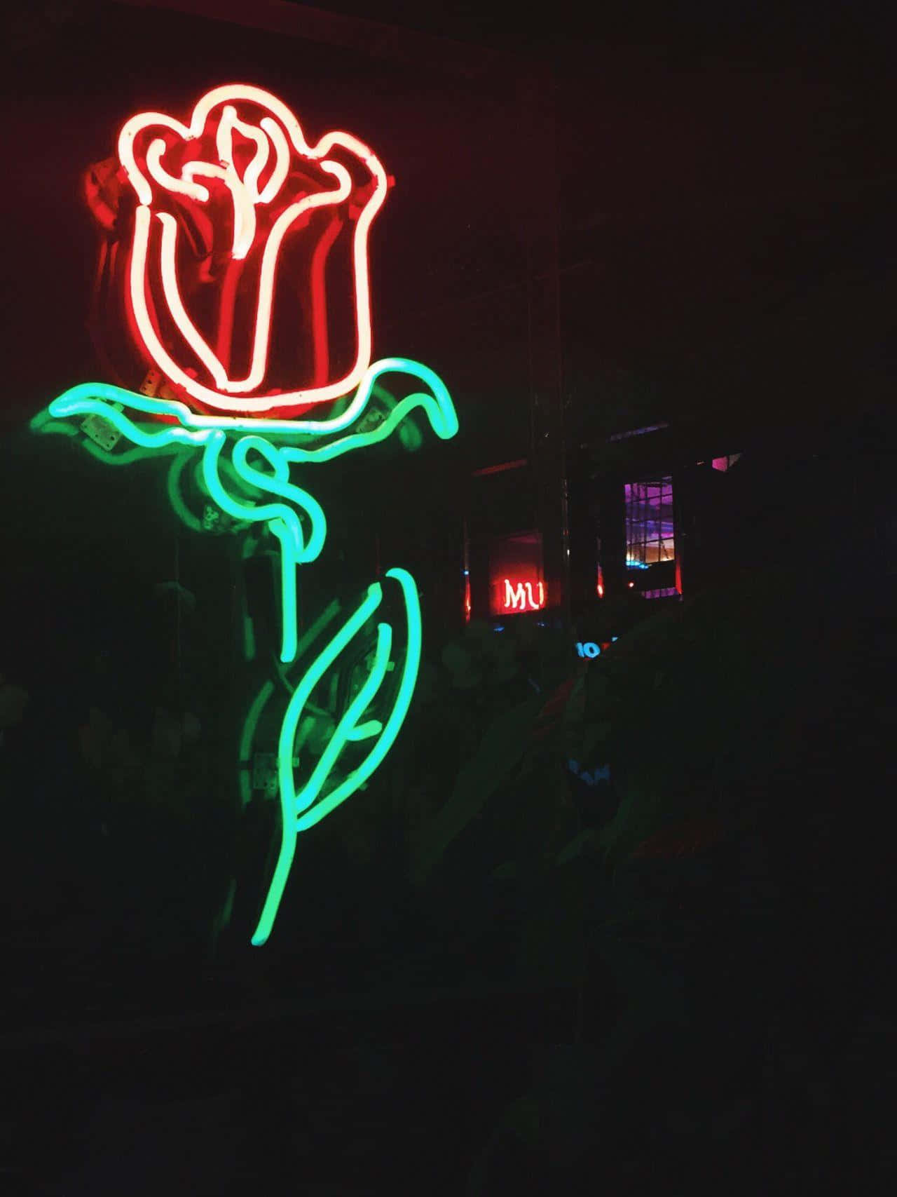 Lasă luminile de neon să te ghideze și să-ți arate calea Fundal