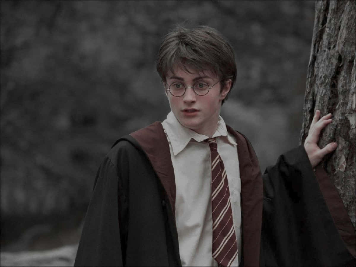 "Lasă-ți imaginația să rătăcească prin lumea magică a lui Harry Potter." Fundal