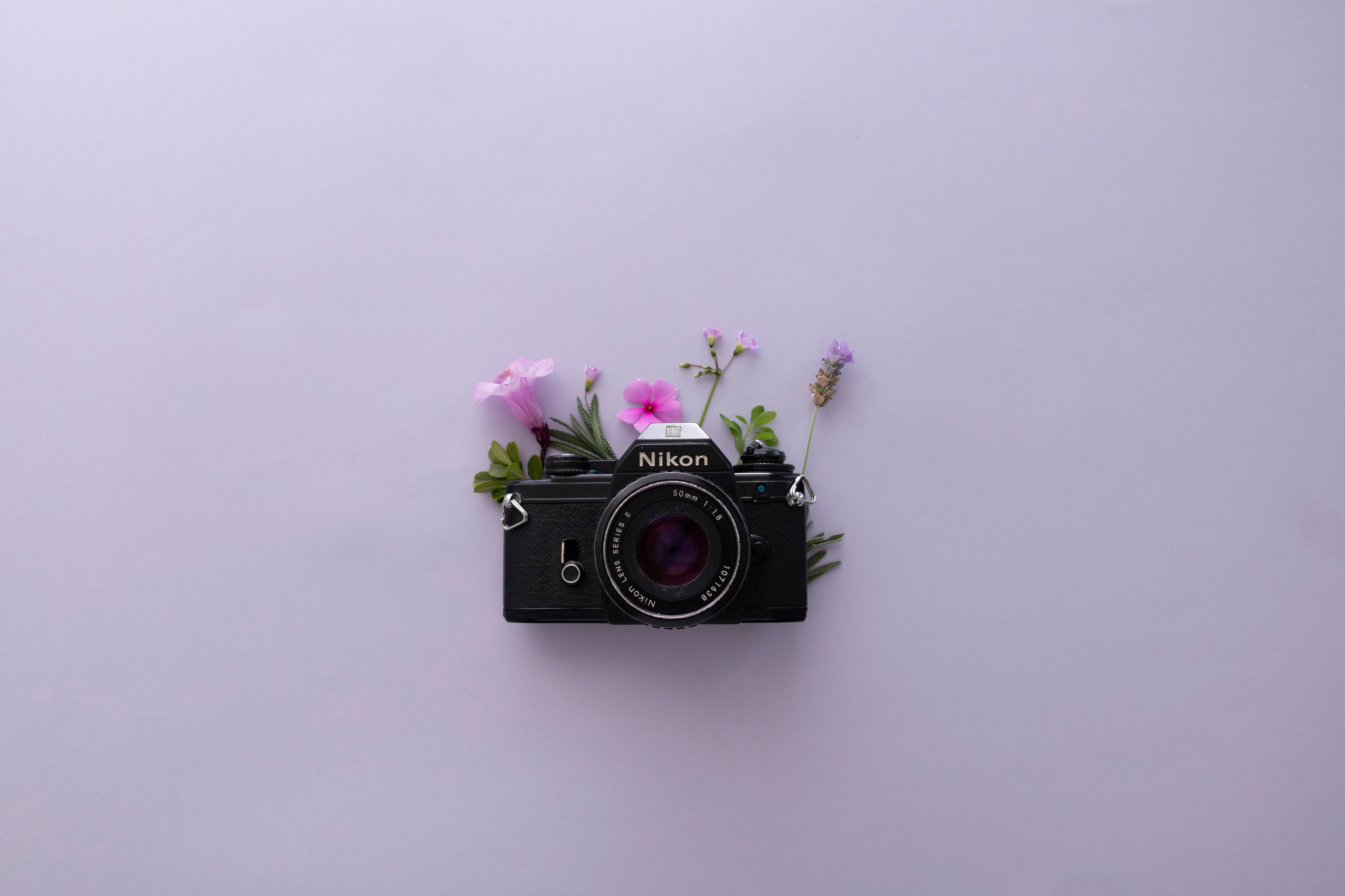Lavandă Estetică și Aparat Foto Nikon Fundal