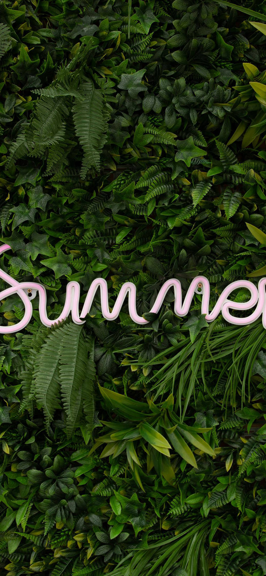 LED Summer iPhone Green Fundal