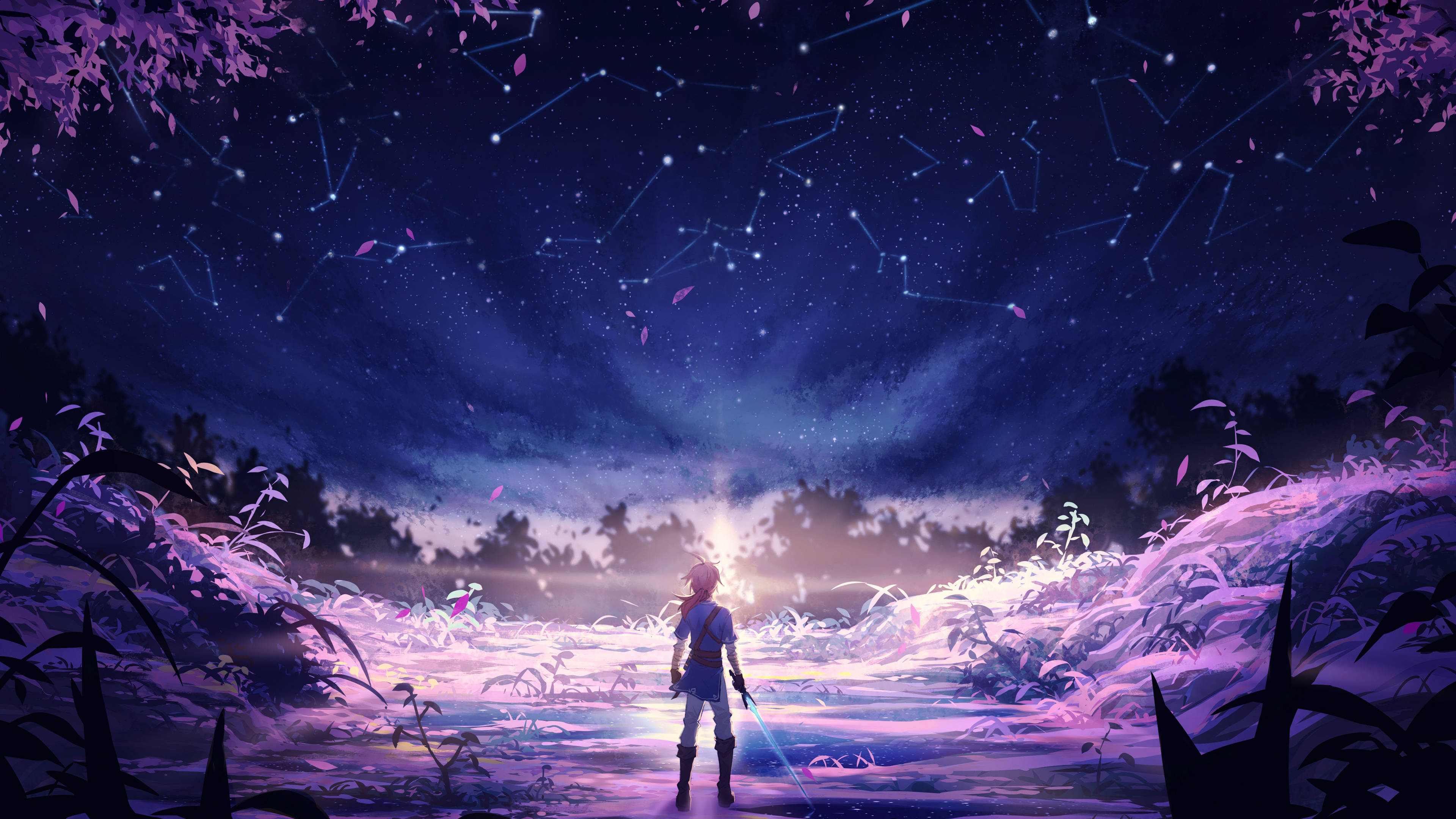 Legend of Zelda violet pentru desktop Fundal