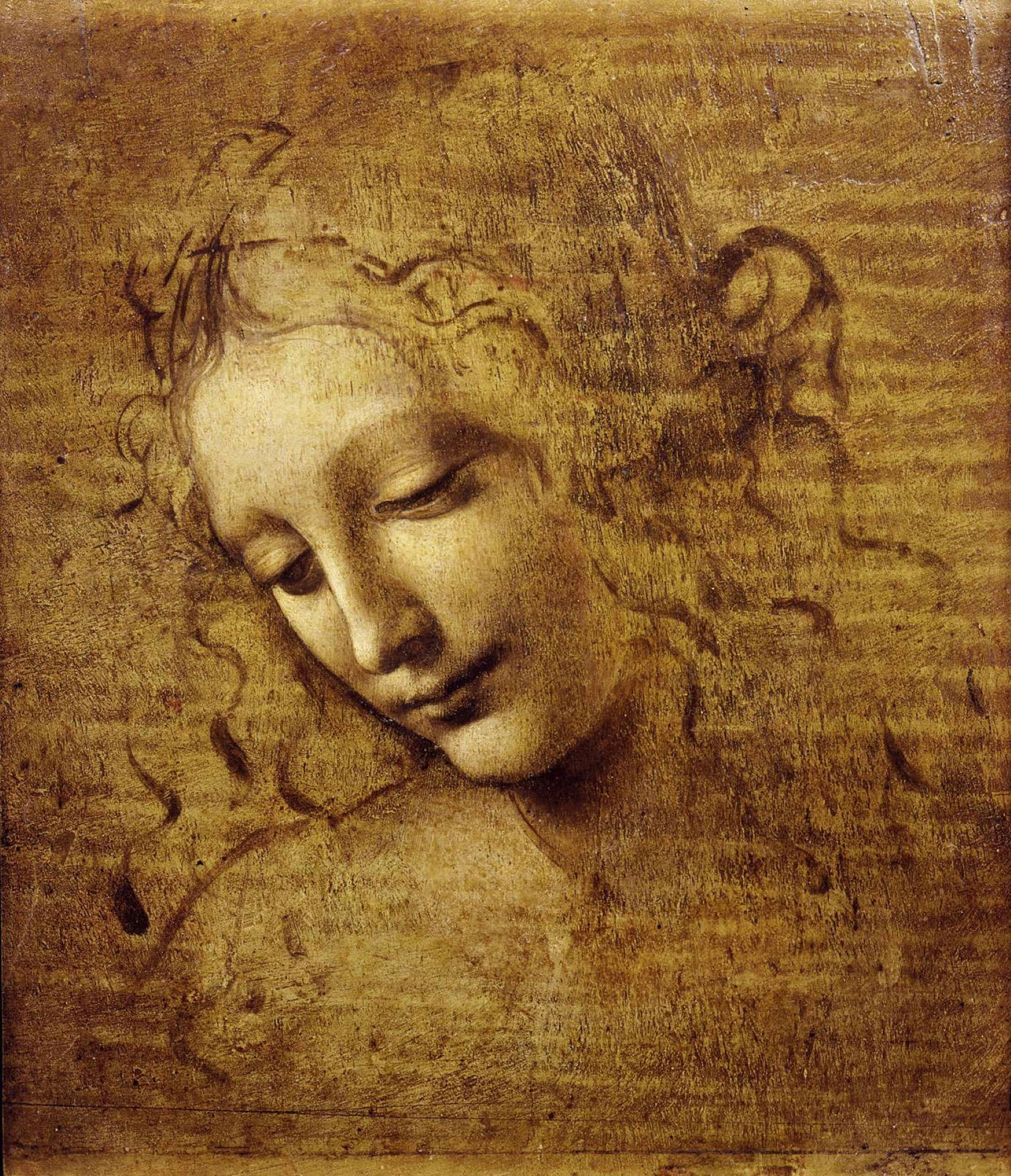 Leonardo Da Vinci Cap Feminin Pictură Fundal