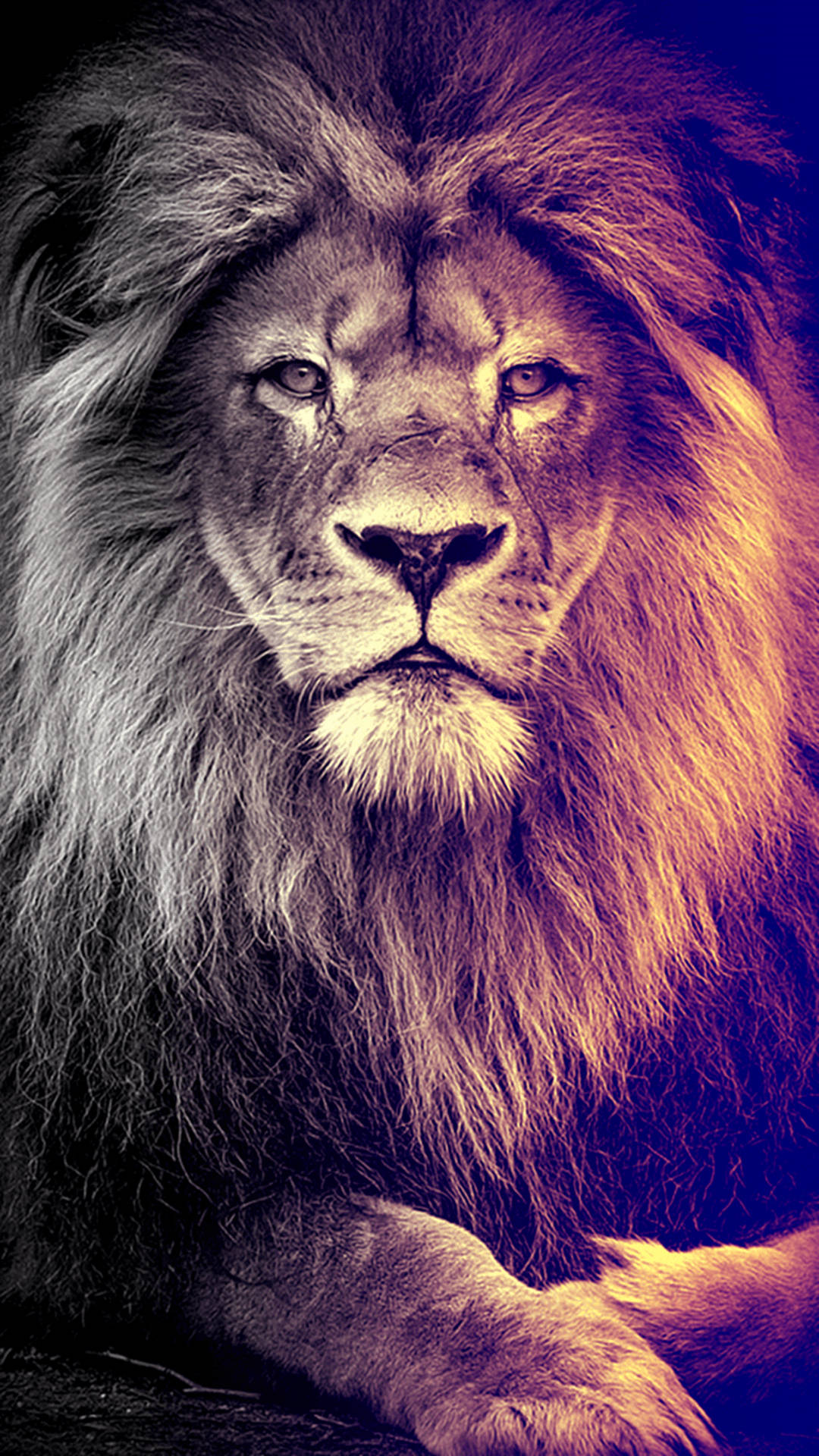Leu Digital Art pentru iPhone Fundal
