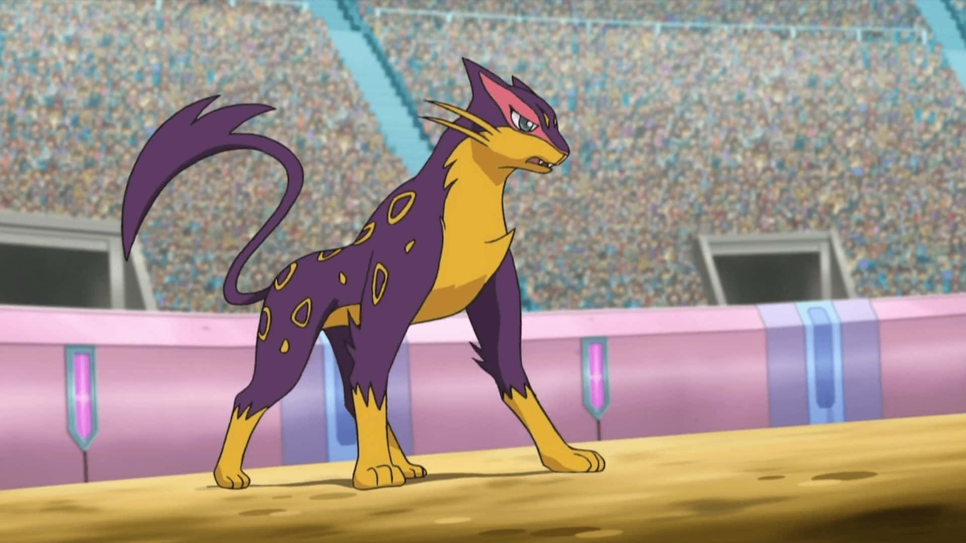 Liepard în Stadion Fundal