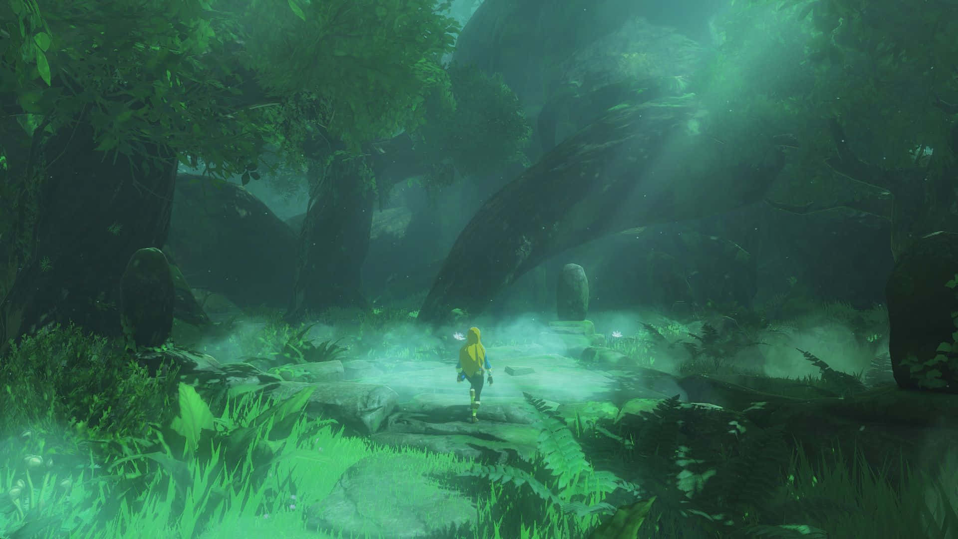 Link într-o călătorie prin lumea The Legend of Zelda Fundal