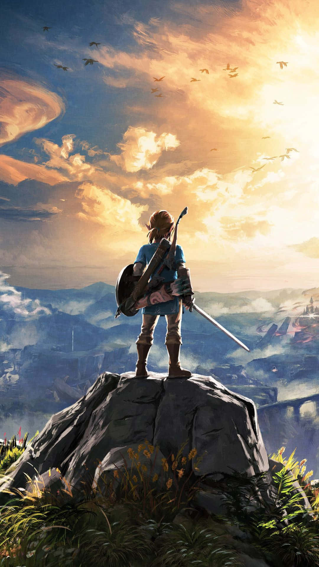 Link stând pe o stâncă în Zelda Botw Fundal