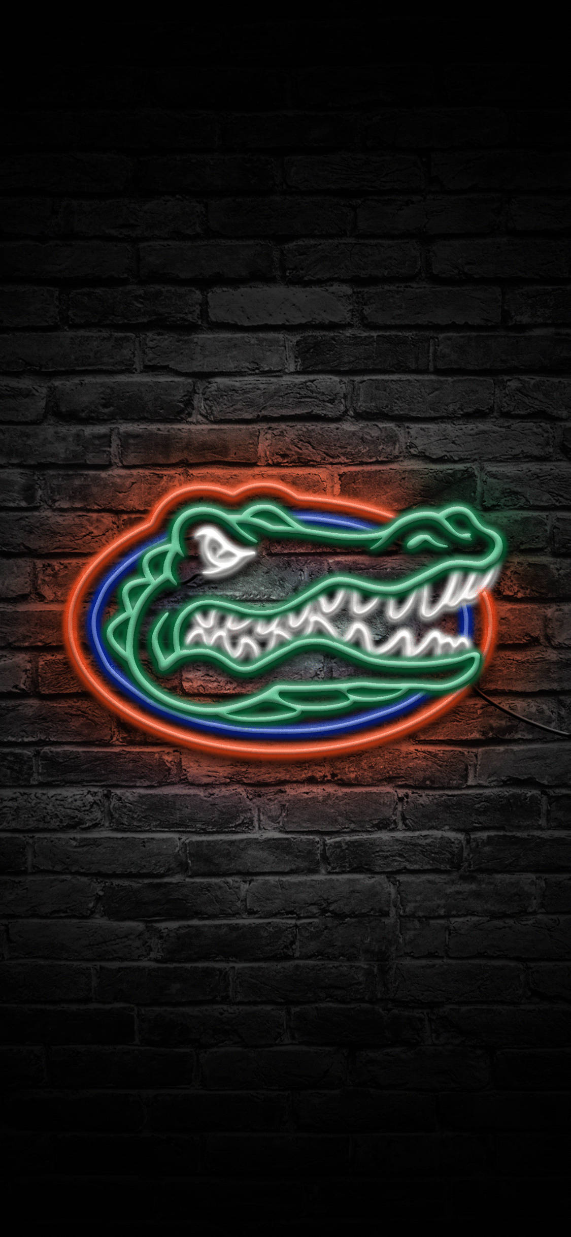 Logo Florida Gators în Lumini Neon Fundal