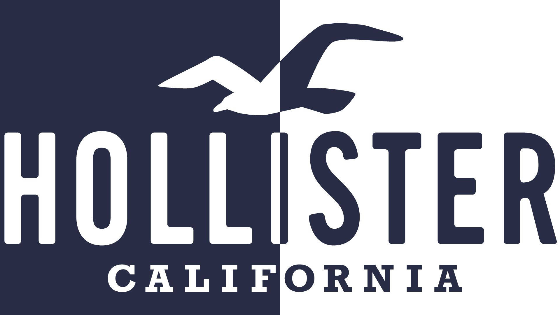 Logo Hollister în două tonuri Fundal