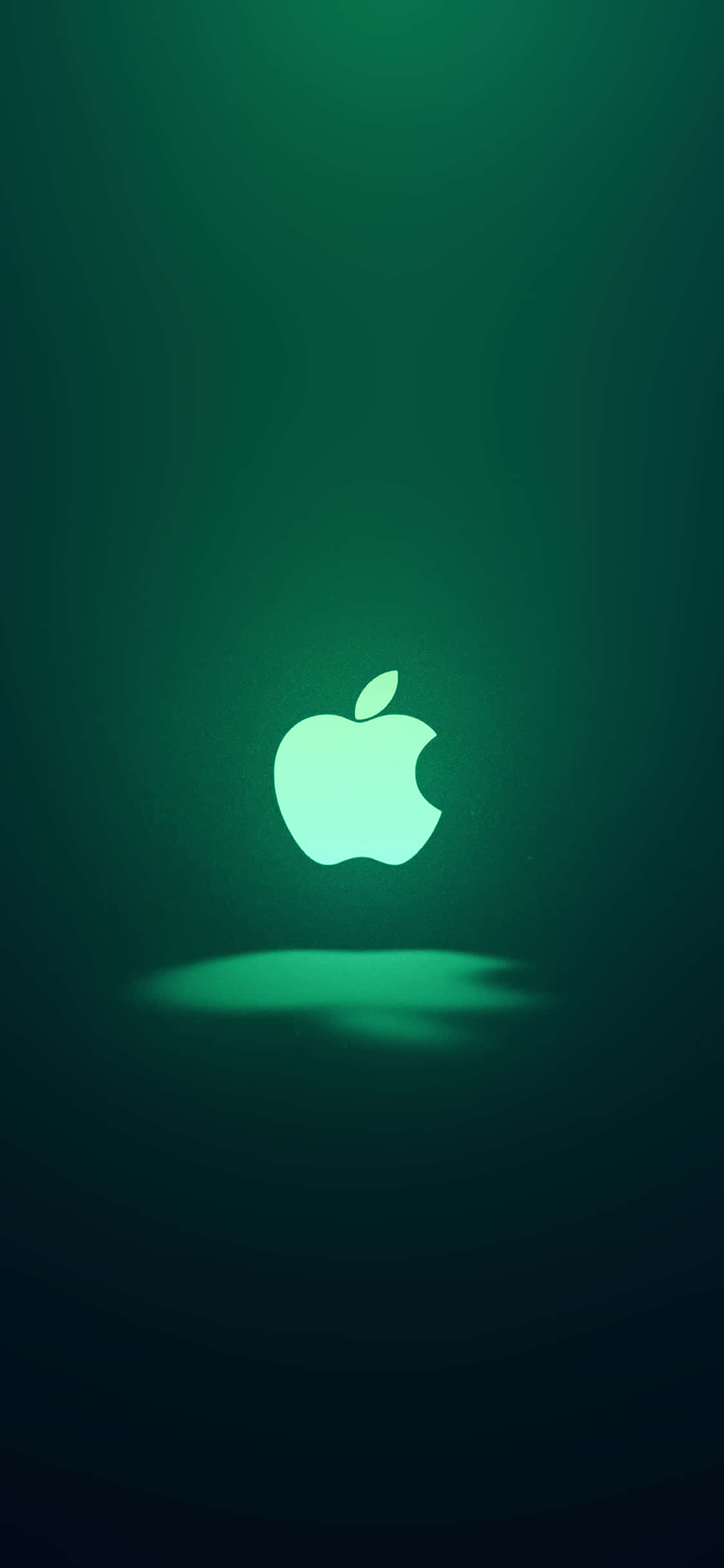 Logo iconic Apple verde iPhone 11 Fundal
