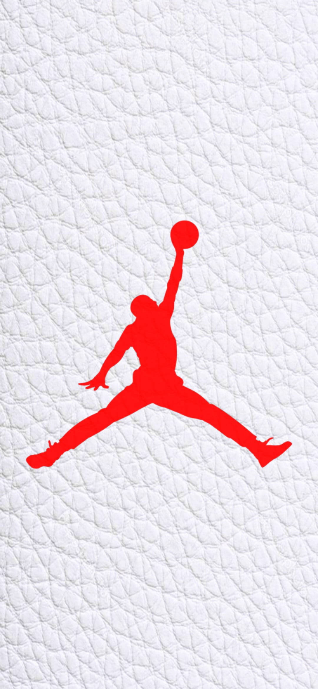 Logo Jordan Pânză Din Piele Albă Fundal