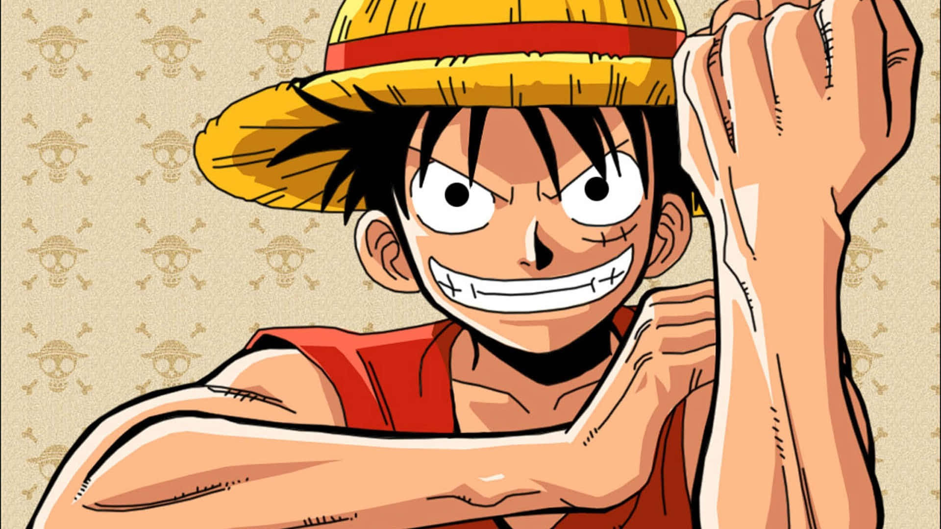 Luffy devine Regele Piraților Fundal