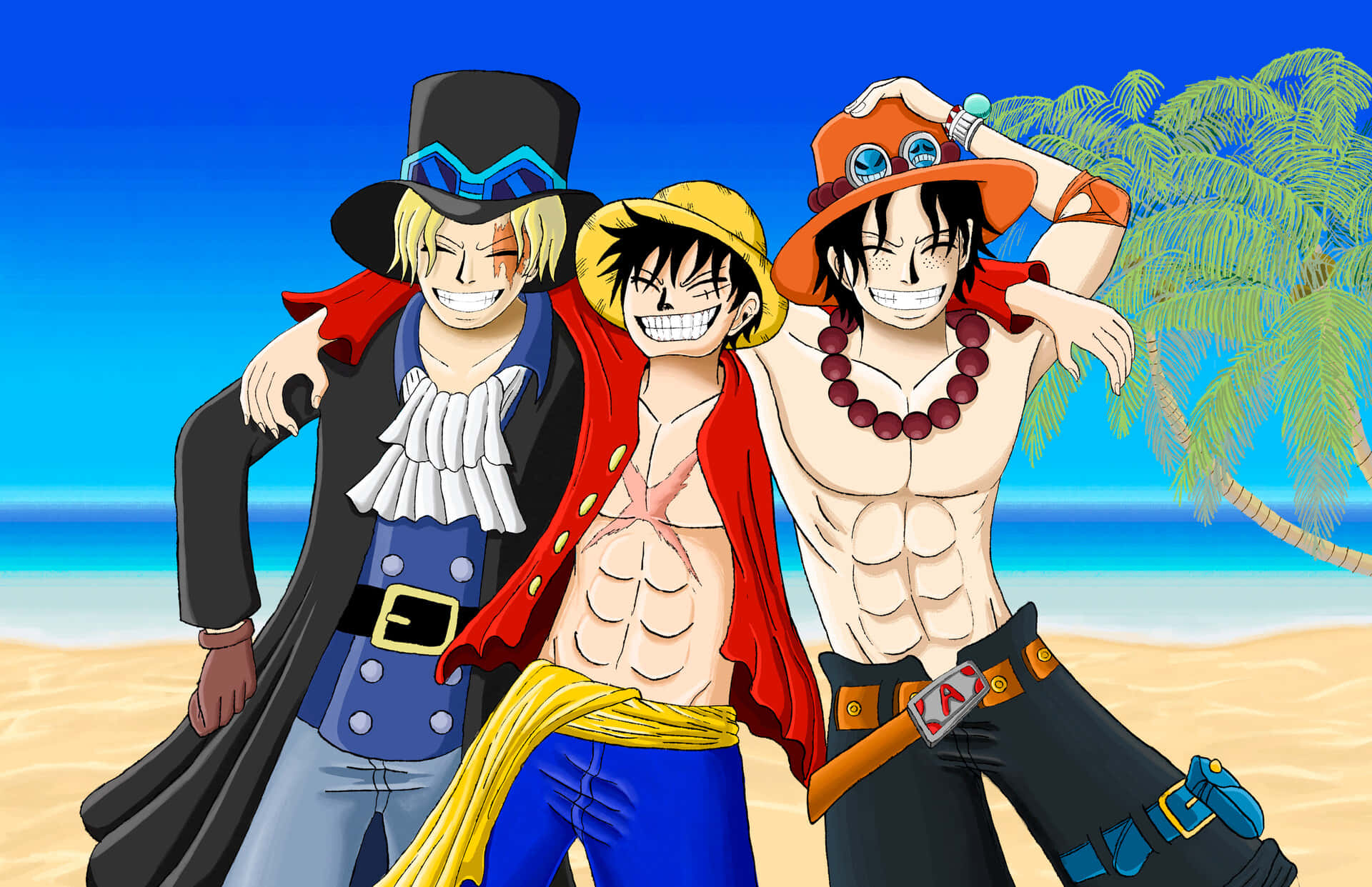 Luffy în acțiune împotriva lui Doflamingo Fundal