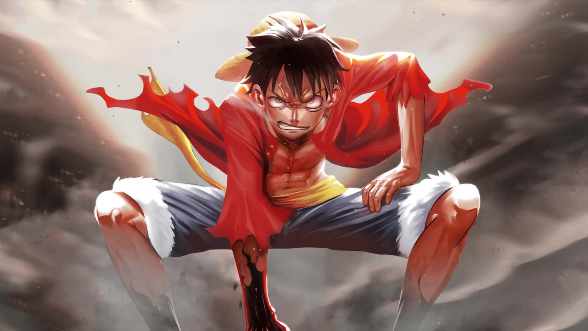 Luffy luptă pentru dreptate și devine Regele Piraților Fundal