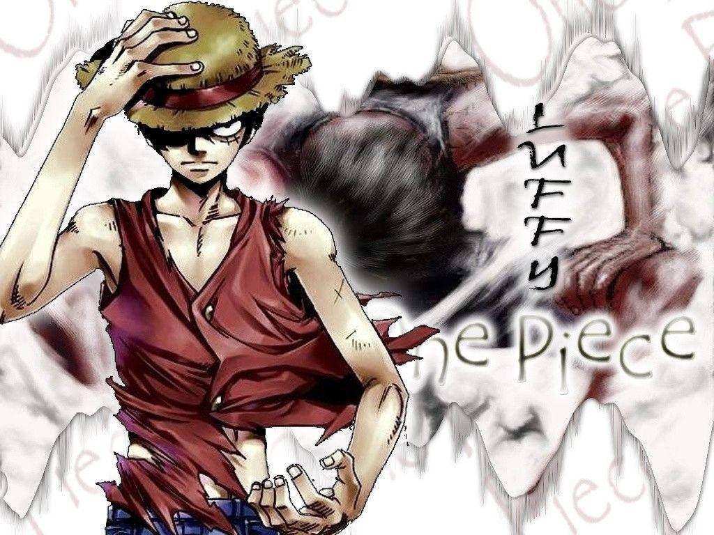 Luffy Pirat One Piece Fundal