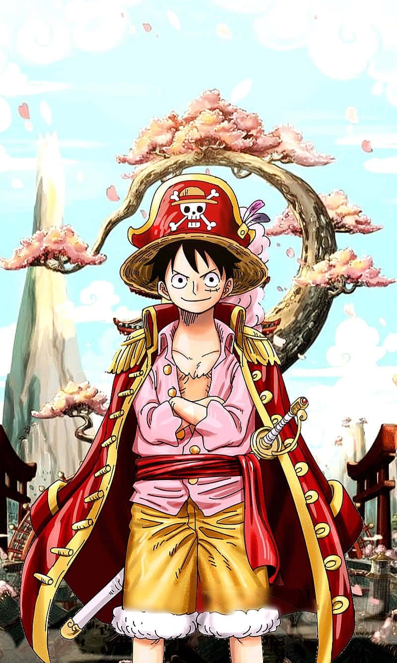 Luffy Rege Piraților din One Piece Fundal