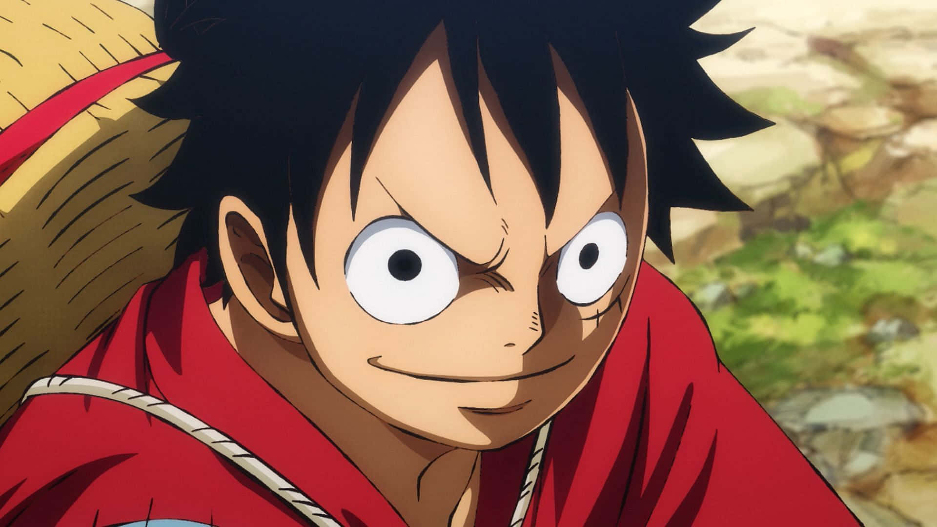 Luffy, Regele Piraților! Fundal