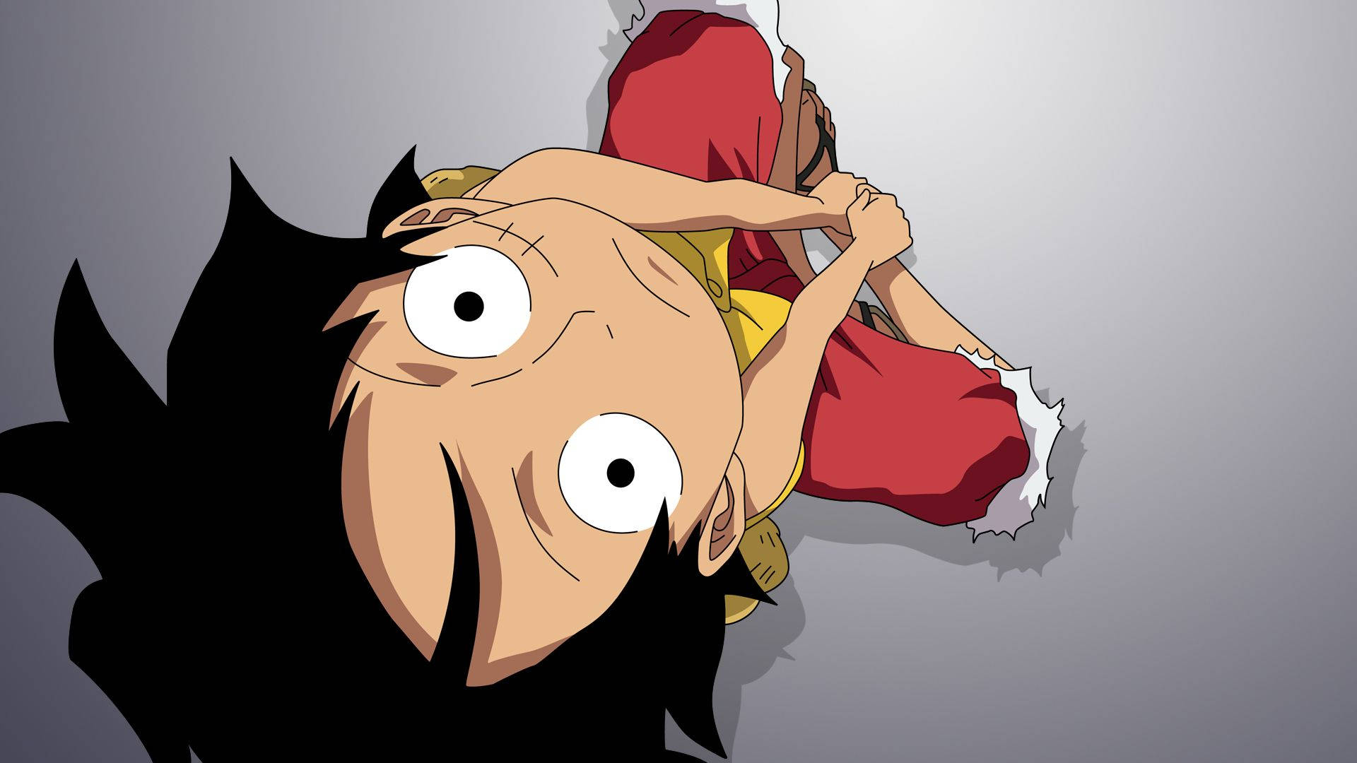 Luffy se pregătește să înfrunte Grand Line Fundal