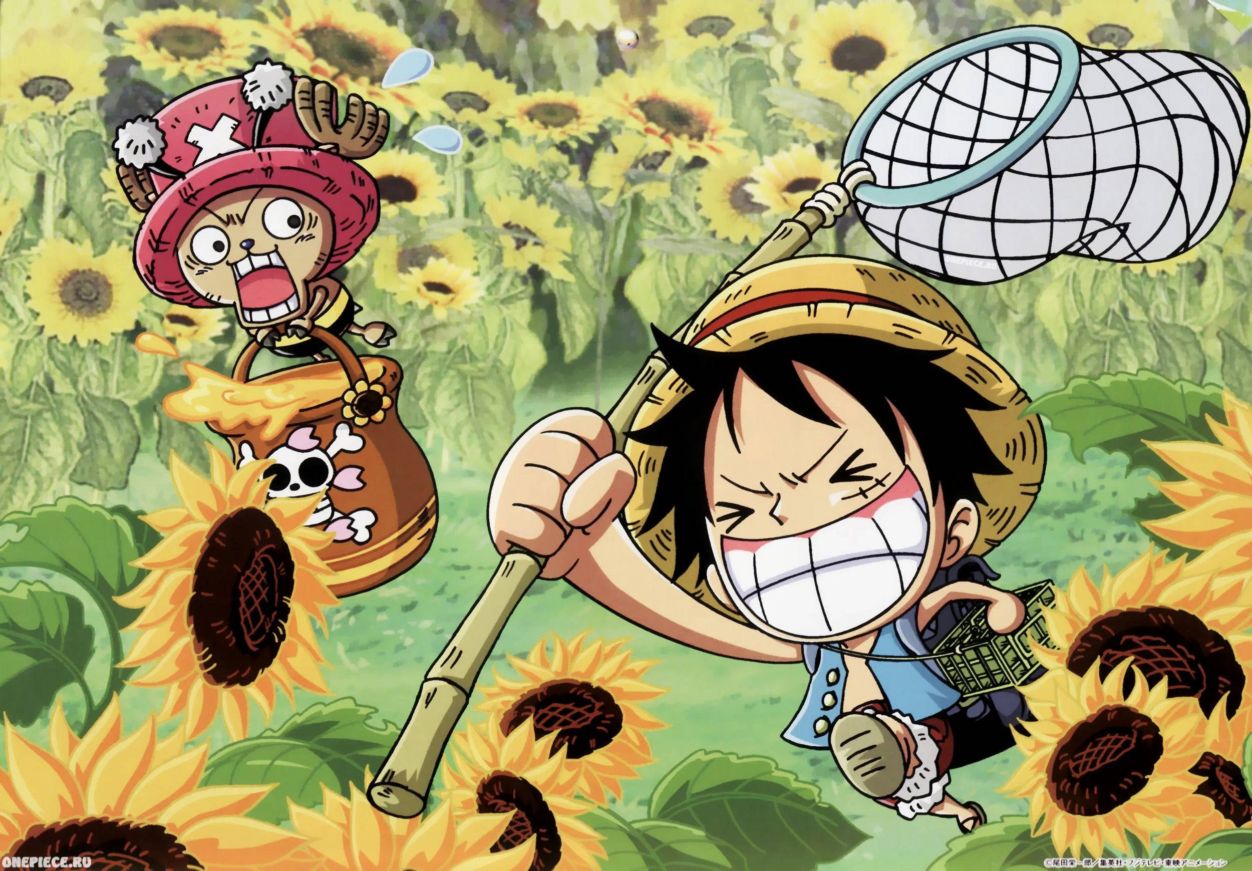 Luffy și Chopper haioși anime Fundal