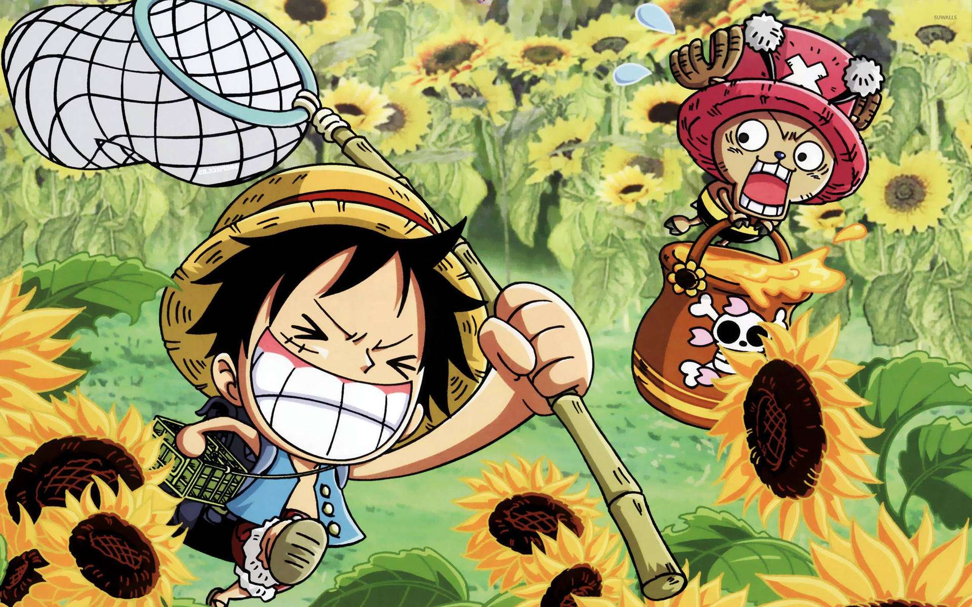 Luffy și Chopper pregătiți pentru aventură Fundal