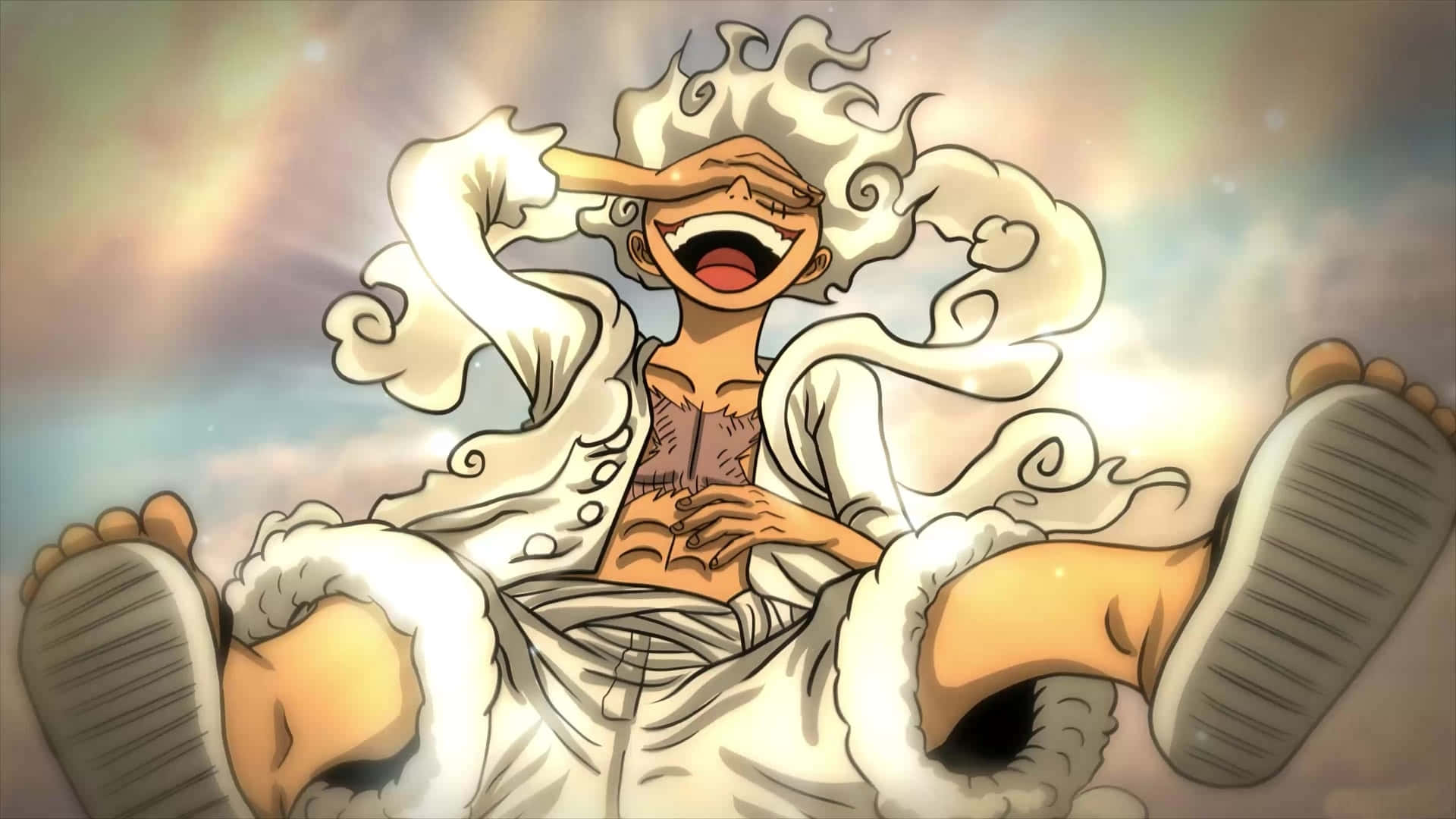 Luffy și Pirații Pălăriei de Paie se confruntă cu puternica familie Donquixote! Fundal