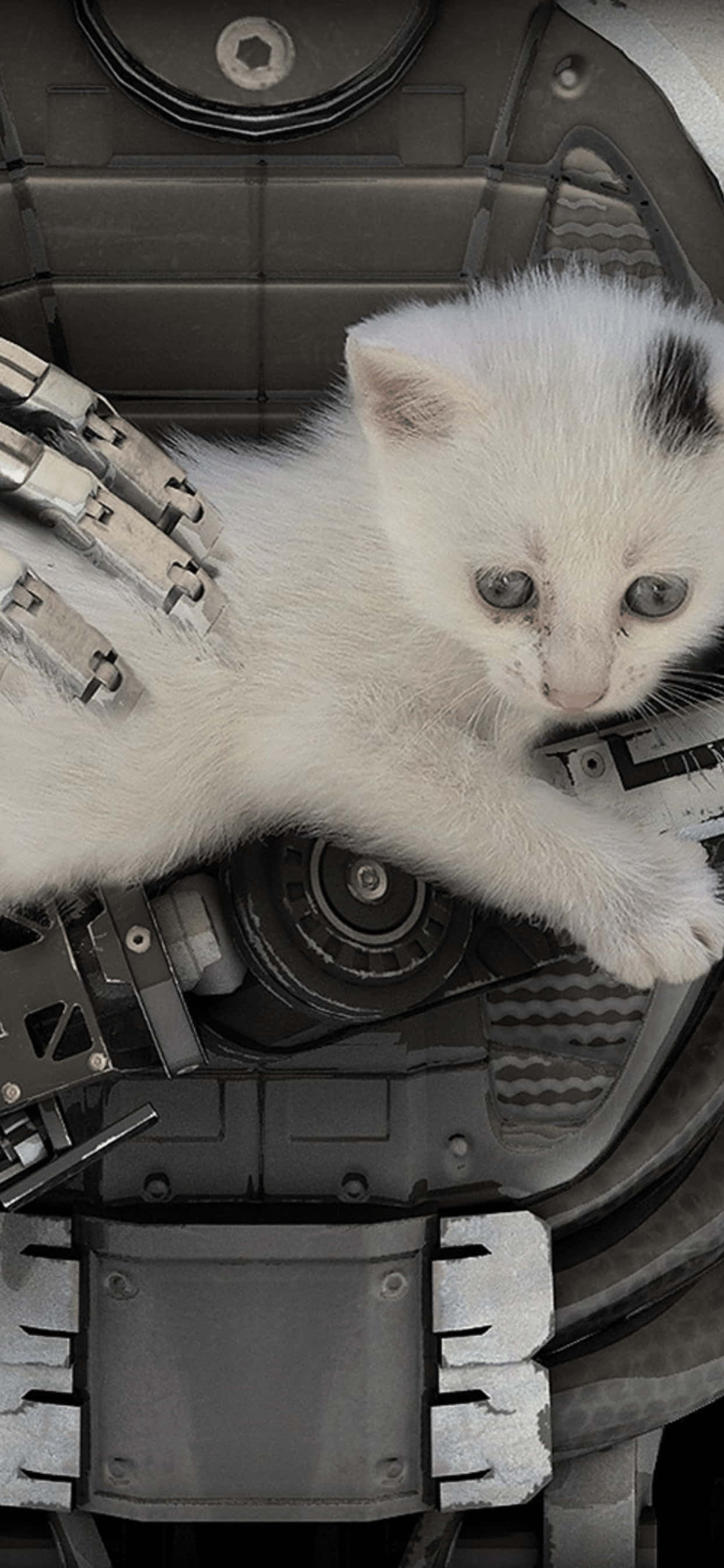 Lumea Majestică a The Talos Principle pe iPhone XS Max Fundal