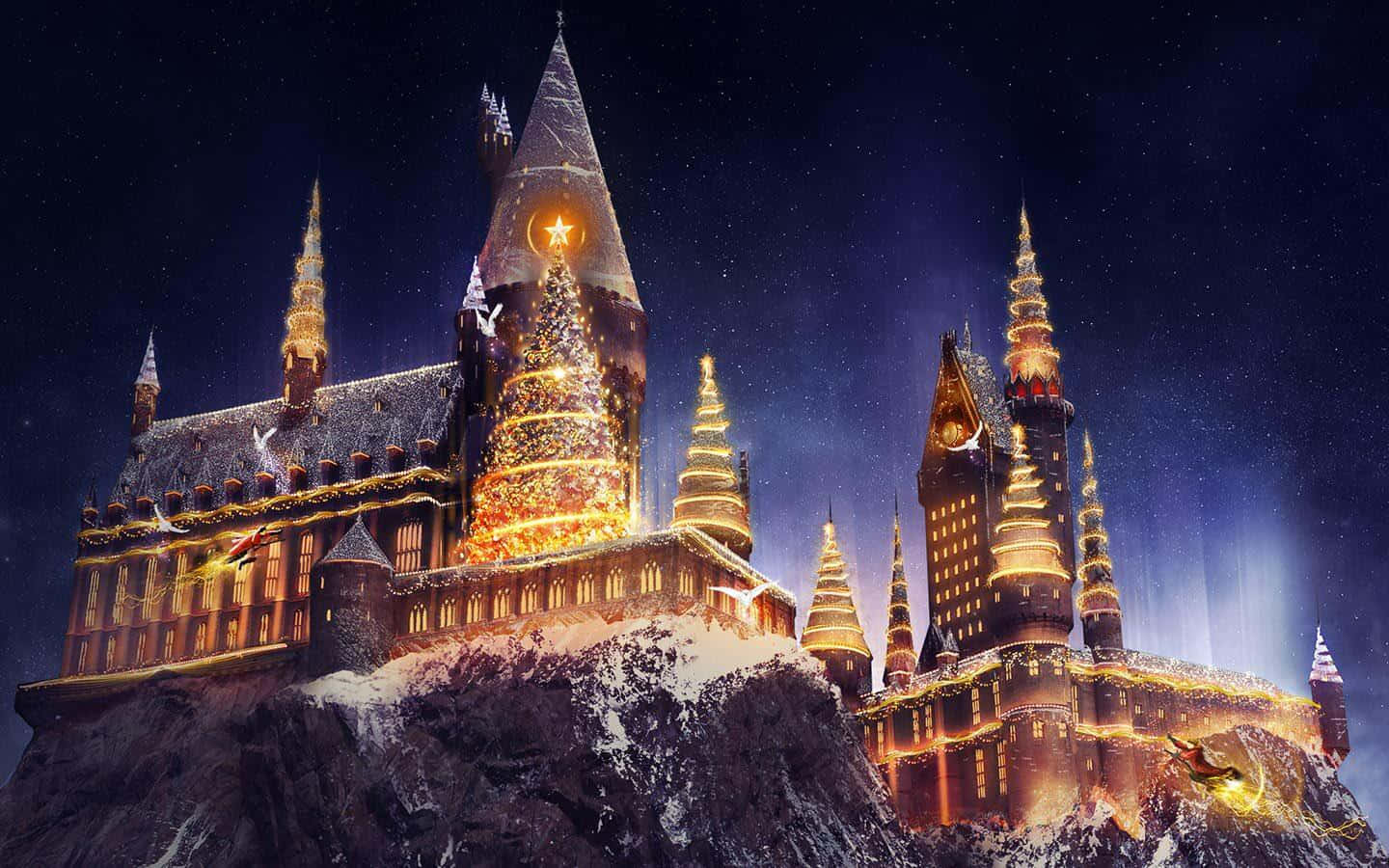 Lumea Vrăjitorilor din Harry Potter Parcul Tematic de Crăciun Fundal