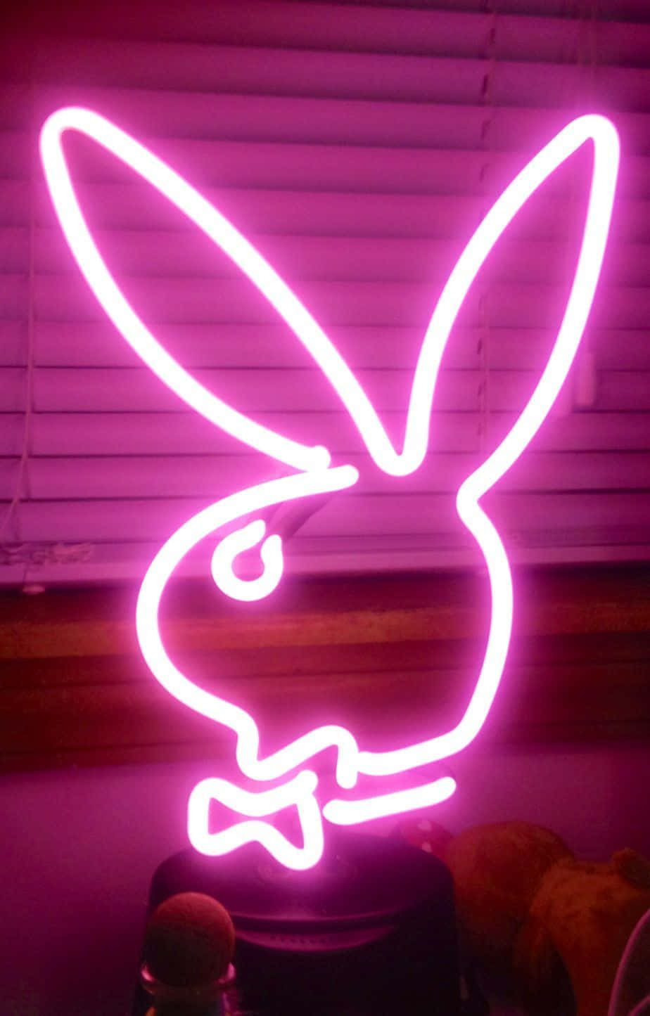 "Luminează-ți viața cu o estetică neon" Fundal