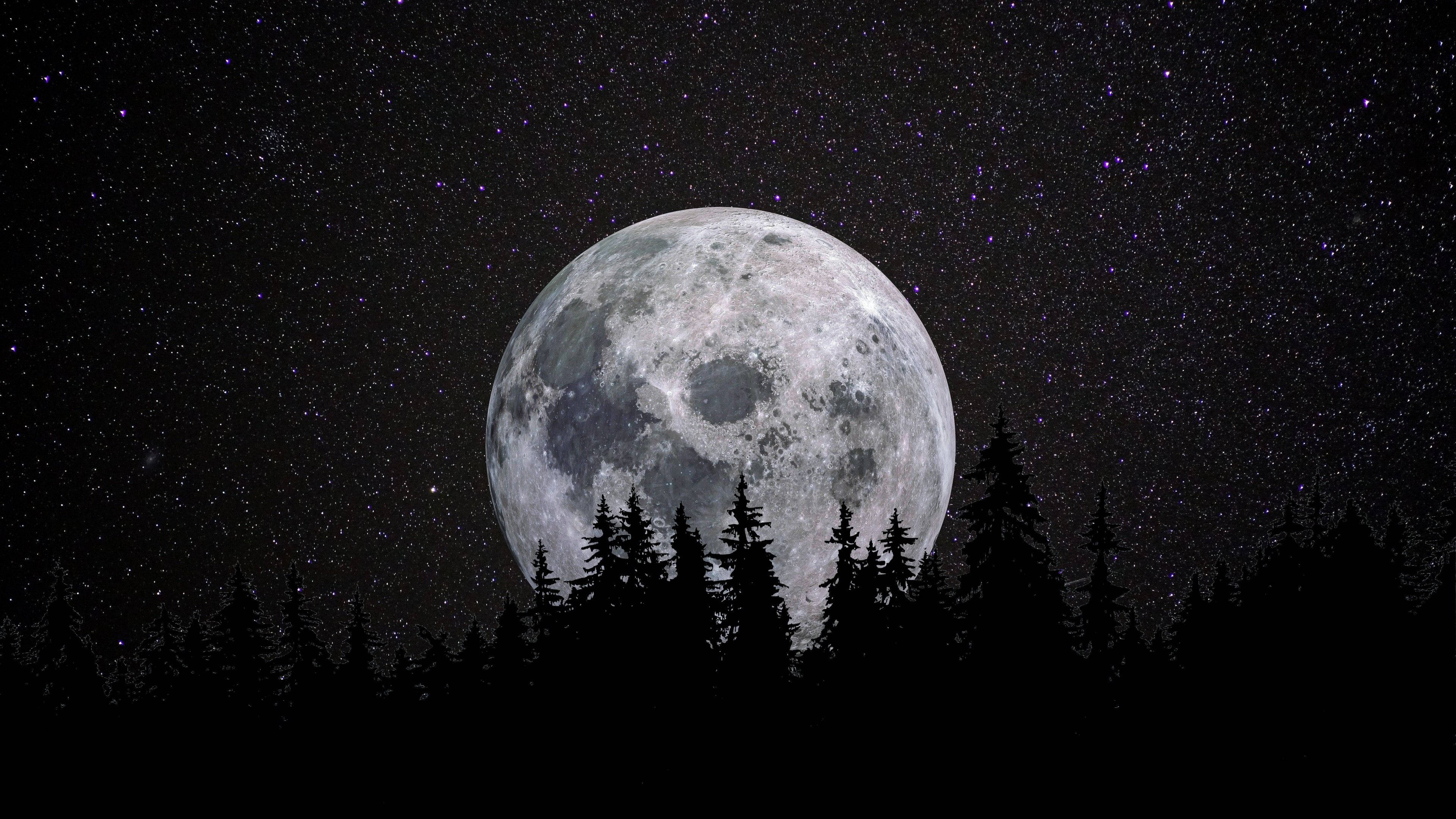 Lună 4K Lună Plină Deasupra Pădurii Fundal