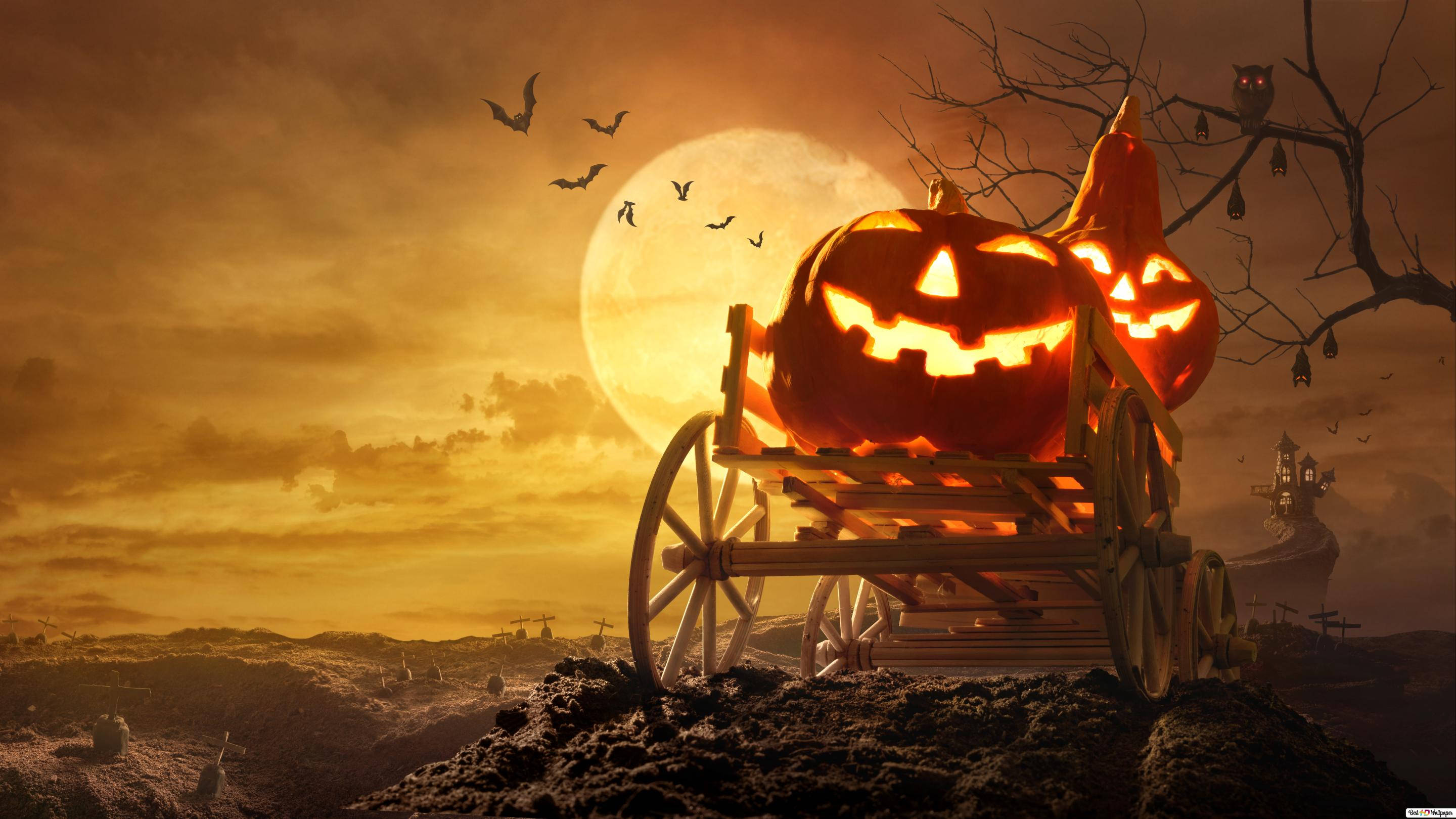 Lună Plină Dovleac Halloween iPhone Fundal