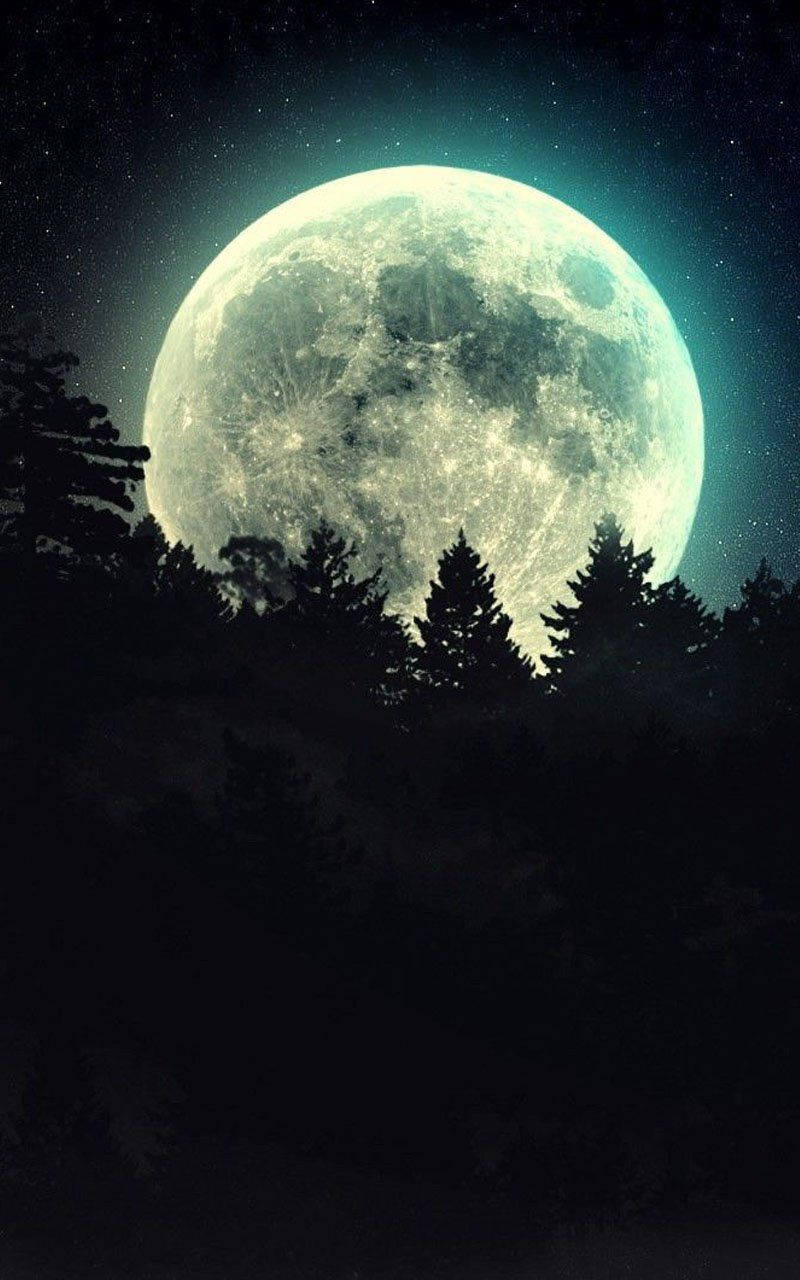 Luna Telefon Pini Fundal